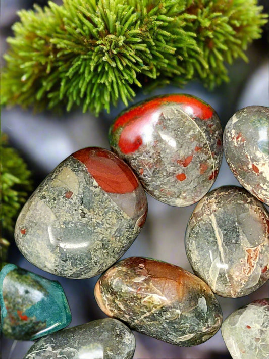 African Bloodstone Tumbled