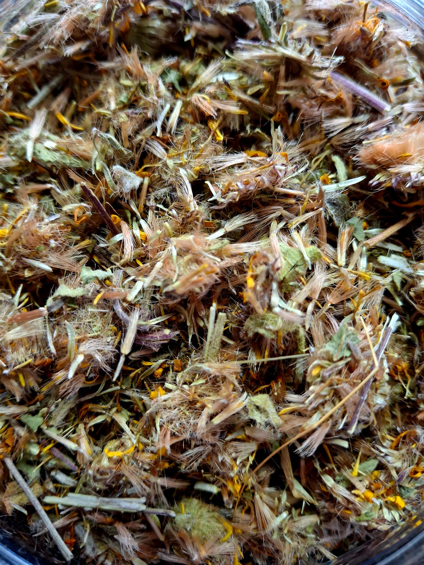 Arnica Flower Whole (Heterotheca inuloides)