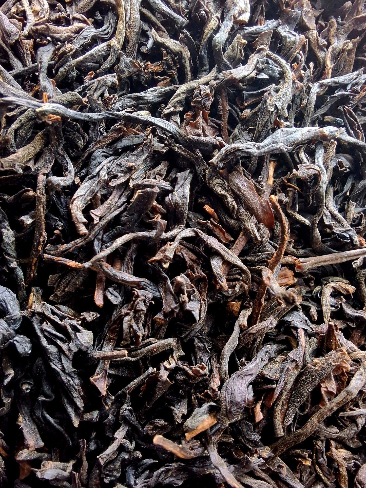 Assam T.G.F.O.P. Tea Organic