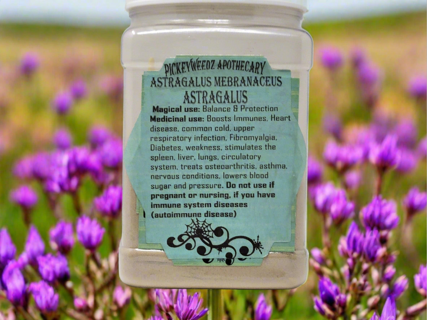 Astragalus