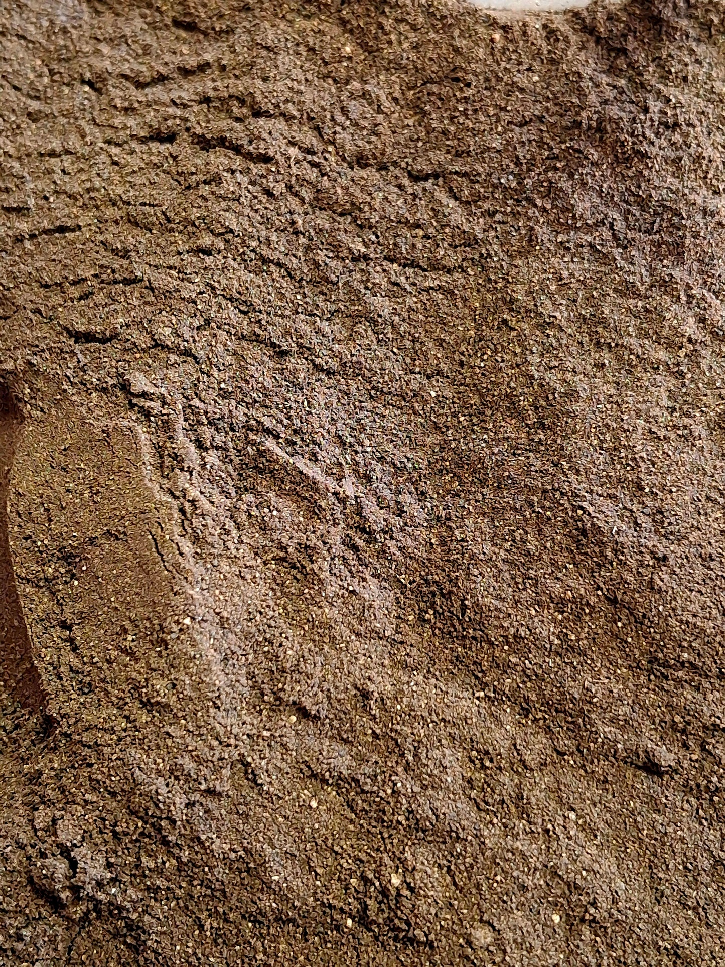 Black Walnut Hull (Juglans nigra)