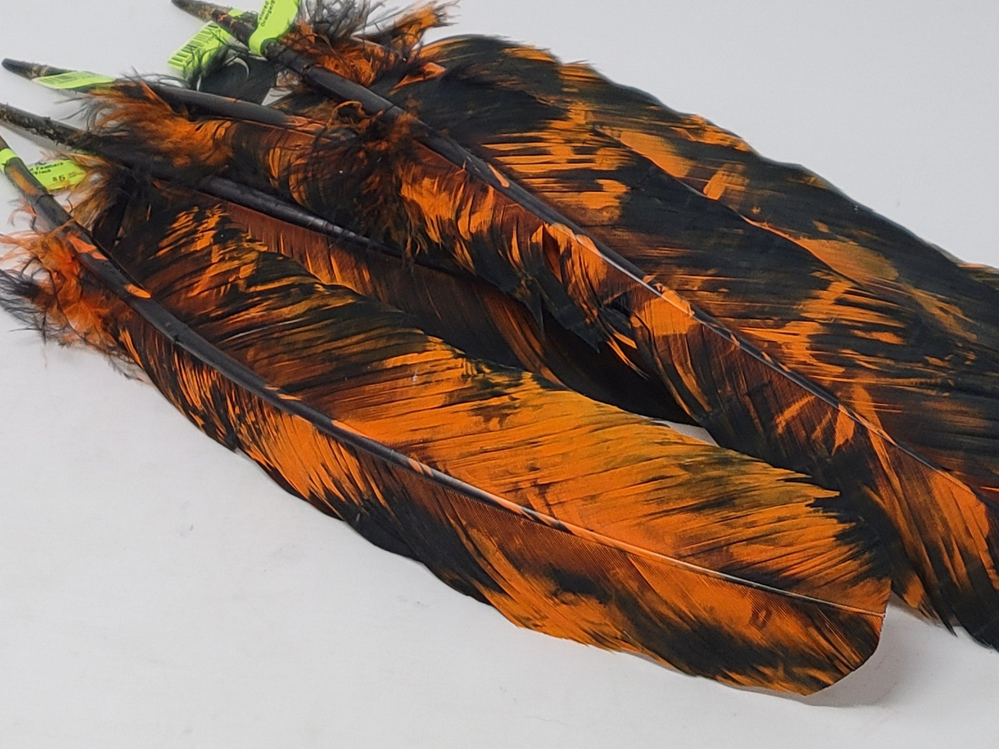 Colored Feathers Orange/Black