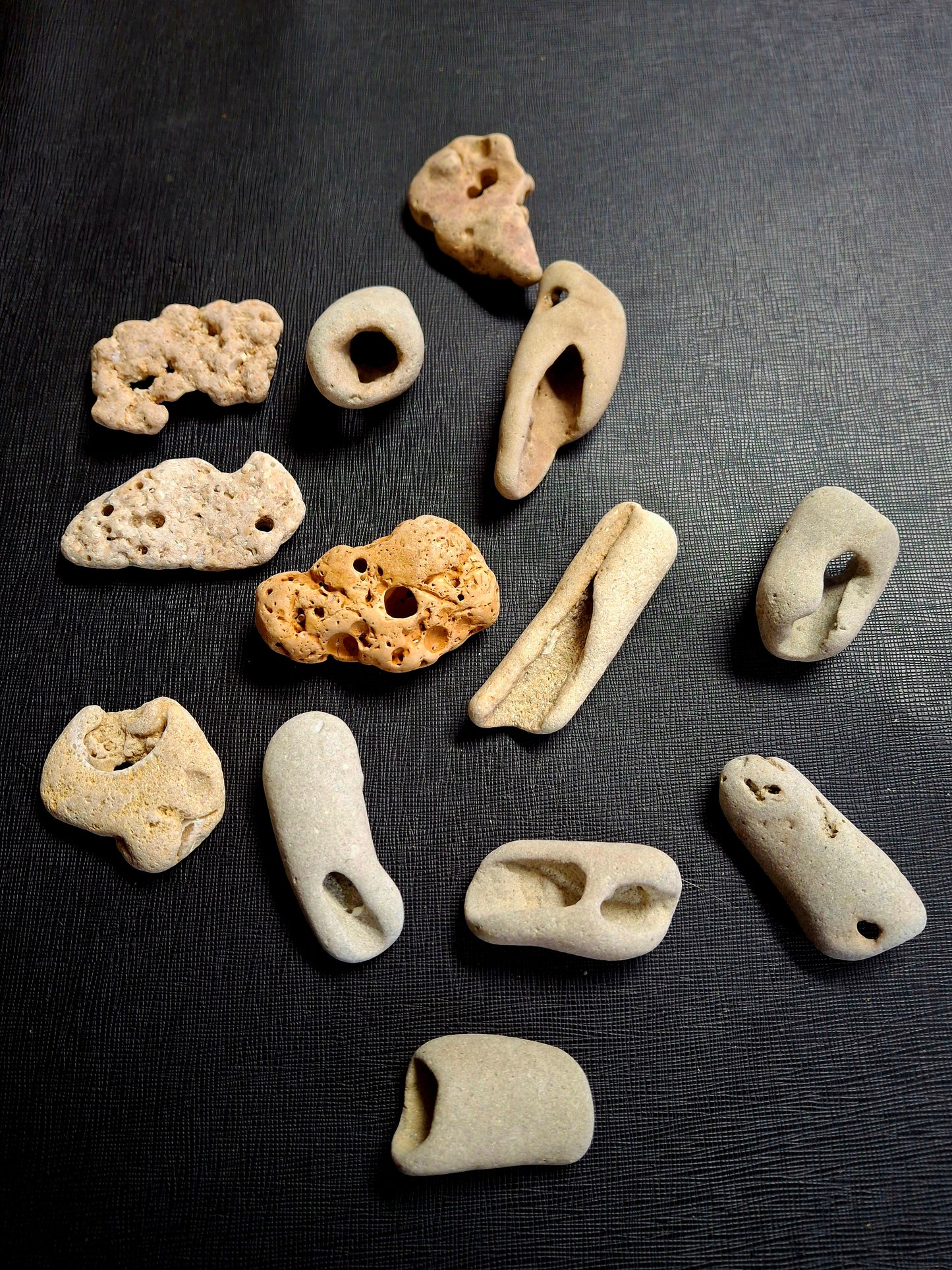 Hag Stones (Large)