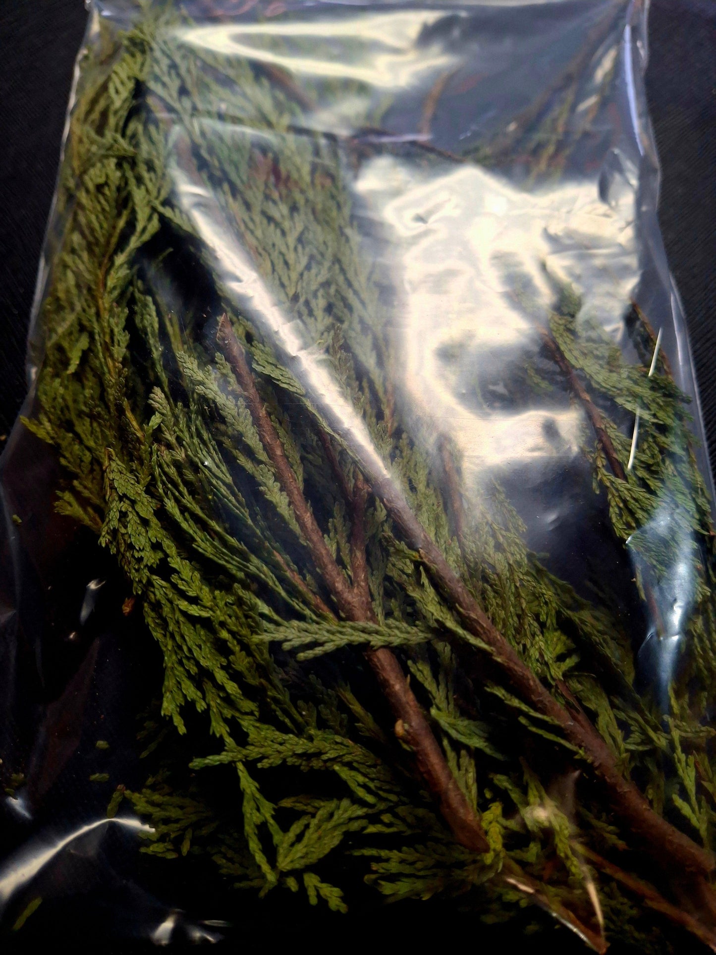 Loose Cedar and Clusters