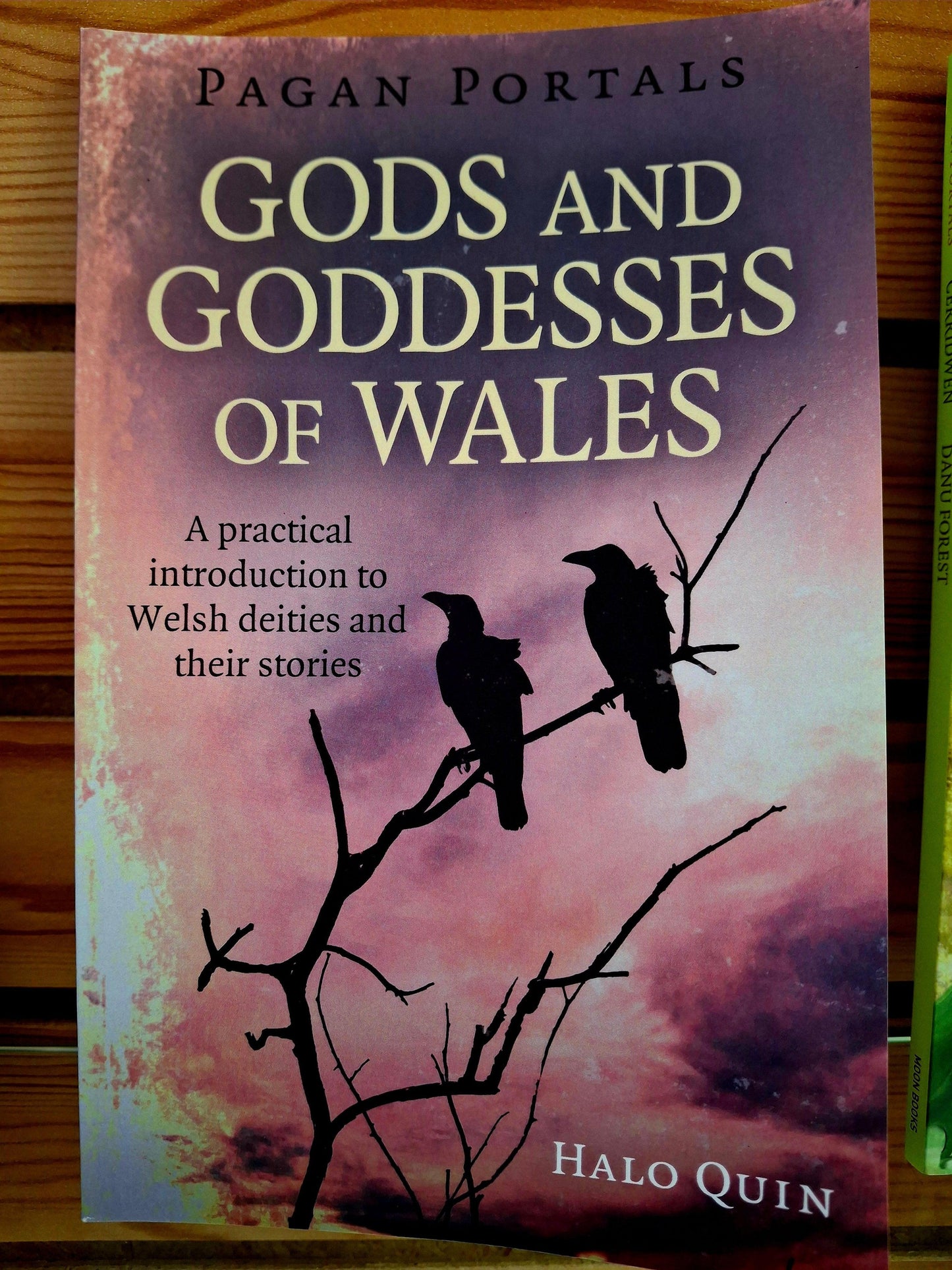 Pagan Portals - Gods and Goddesses of Wales A Practical Introduction To Welsh Deities And Their Stories By Halo Quin