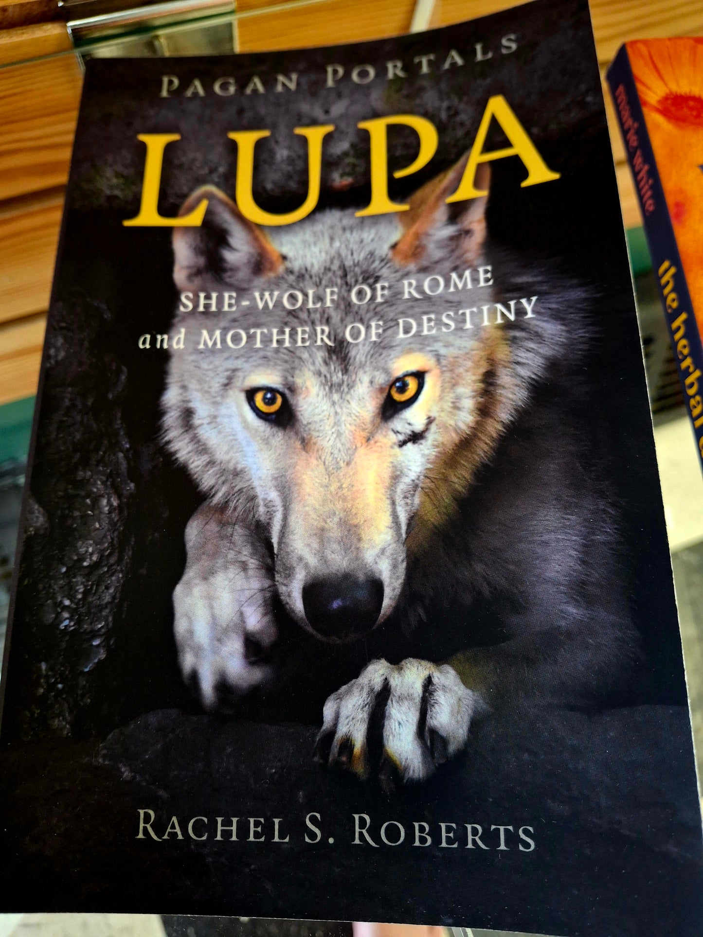 Pagan Portals - Lupa She-Wolf of Rome and Mother of Destiny By Rachel S Roberts