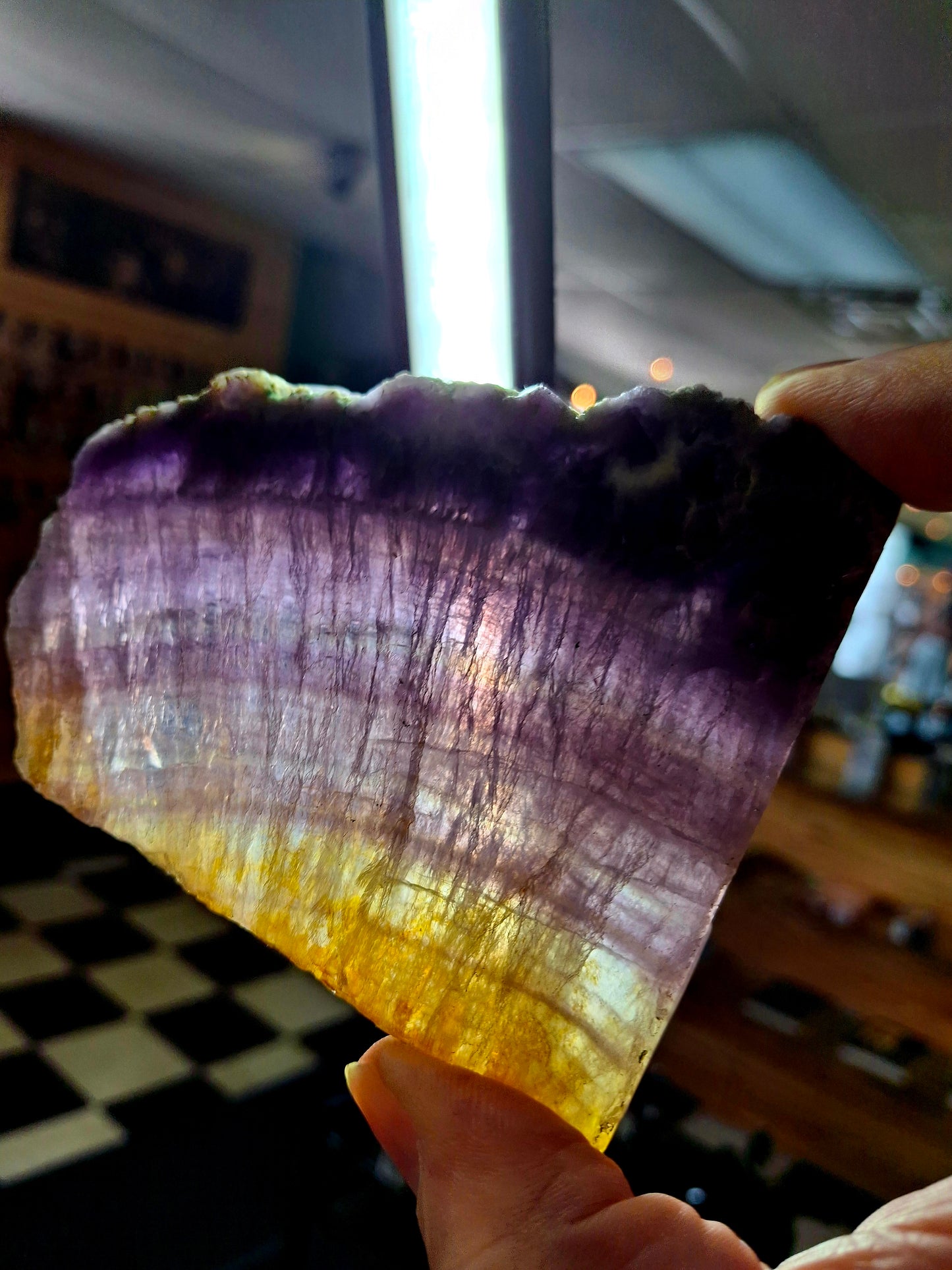 Rainbow Fluorite Plate Specimen (India)