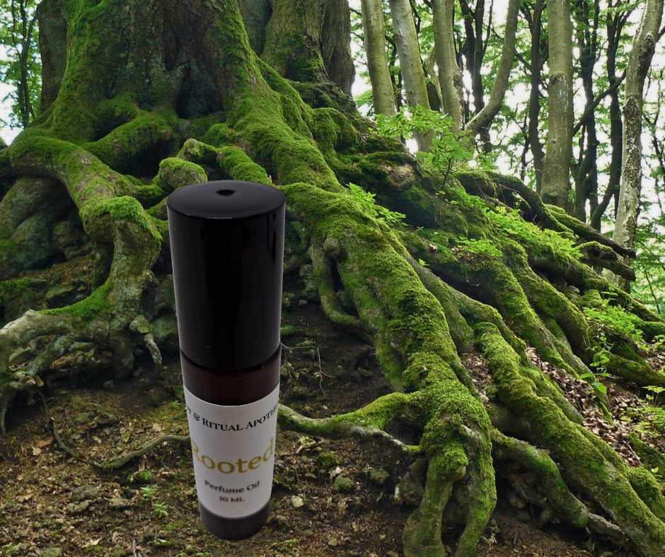 Rooted (Yaya's Whispers Apothecary) Intention Rollers