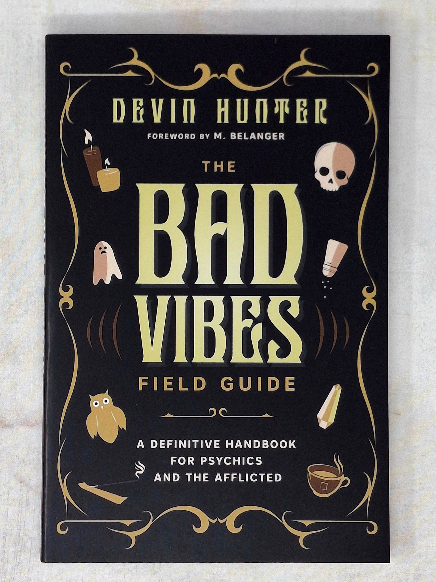 The Bad Vibes Field Guide by Devin Hunter (Author), M. Belanger (Foreword by)