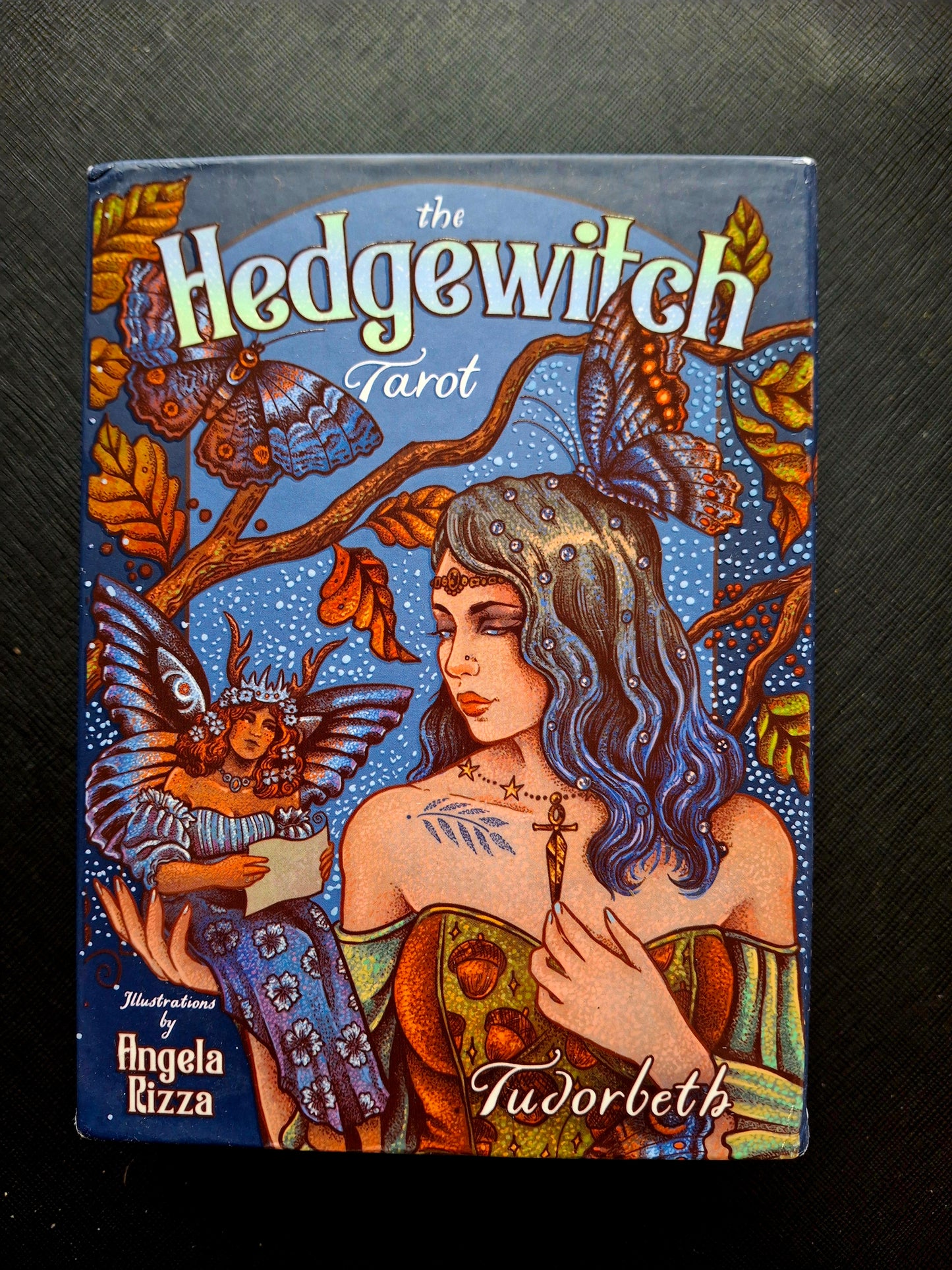 The Hedgewitch Tarot by Tudorbeth (Author), Angela Rizza (Artist)