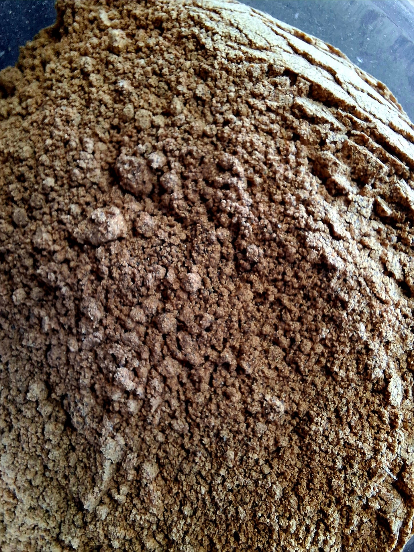 Turkey Tail Mycelium Powder