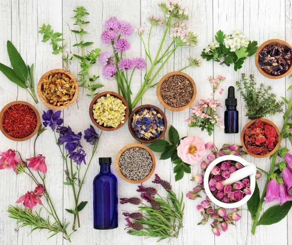 25 Herbal Alternatives to Antibiotics: Nature's Answer to Combat Infections