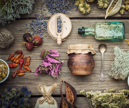 How Do I Become An Herbalist?