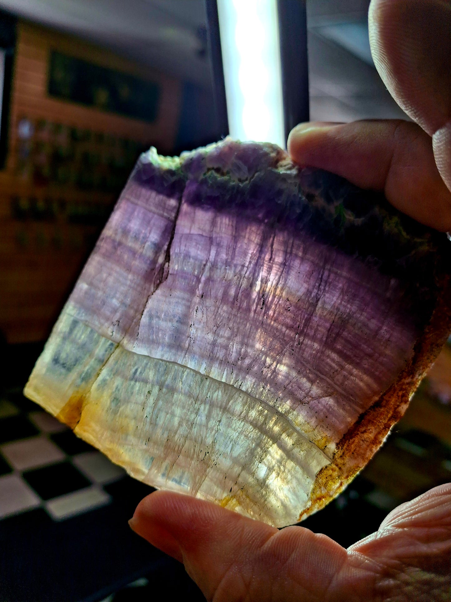Rainbow Fluorite Plate Specimen (India)