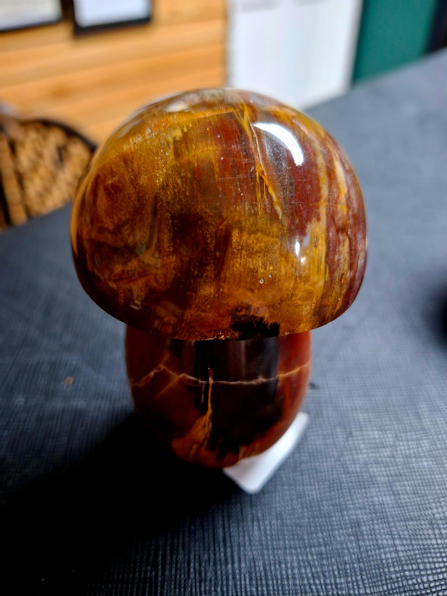 Petrified Wood Mushrooms