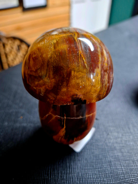 Petrified Wood Mushrooms