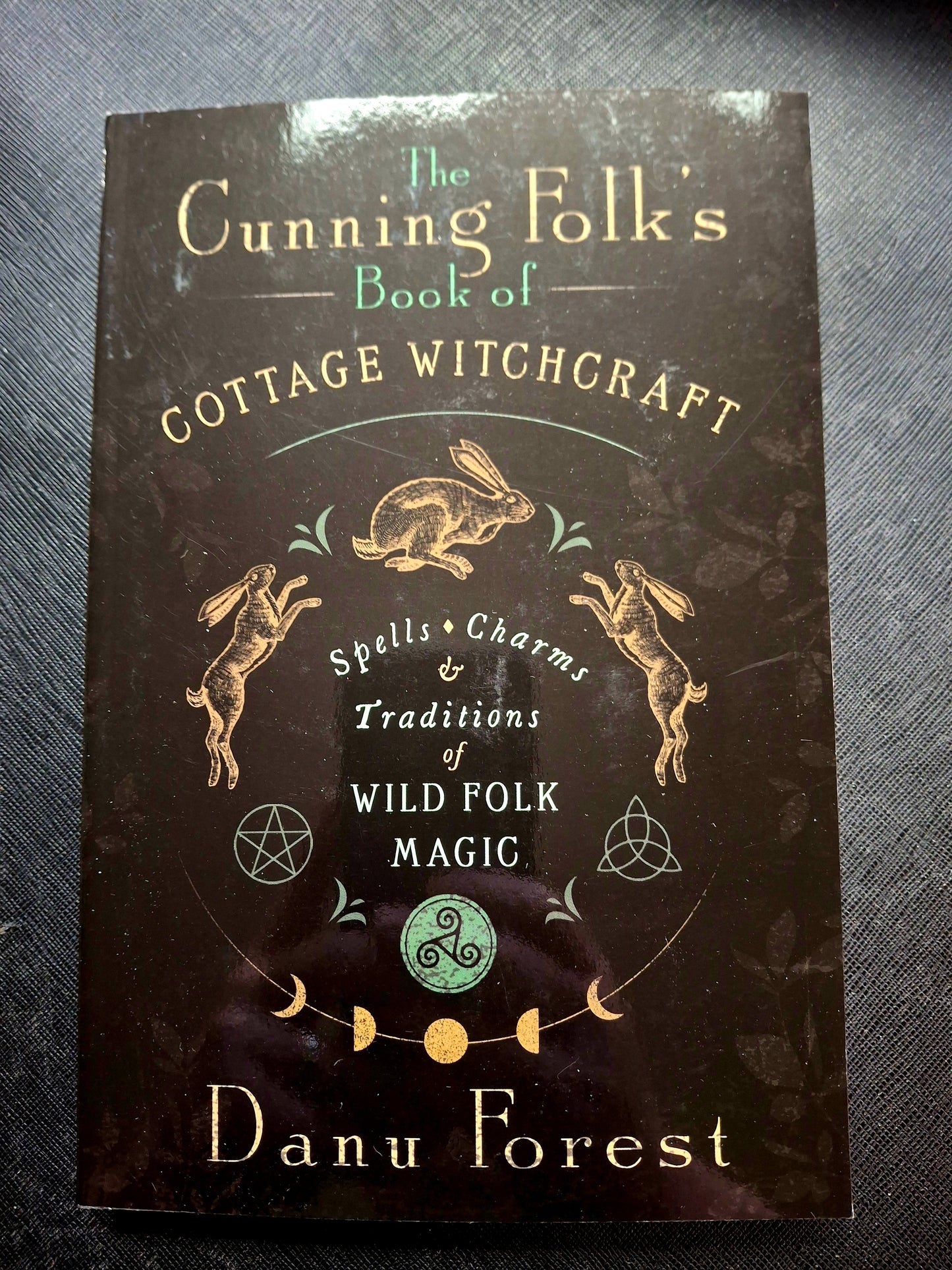 The Cunning Folk's Book of Cottage Witchcraft - by Danu Forest