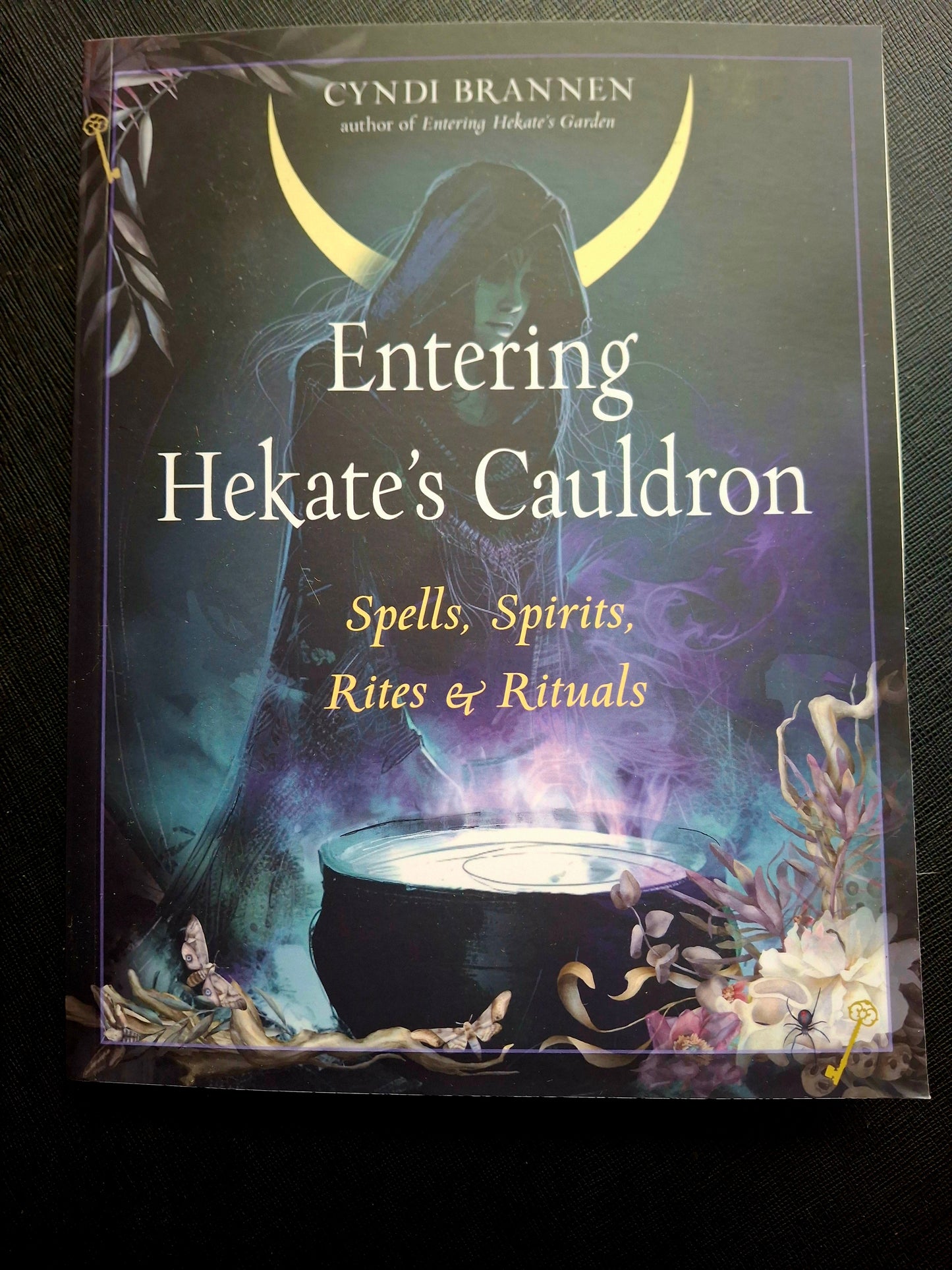 Entering Hekate's Cauldron Spells, Spirits, Rites, and Rituals - Cyndi Brannen