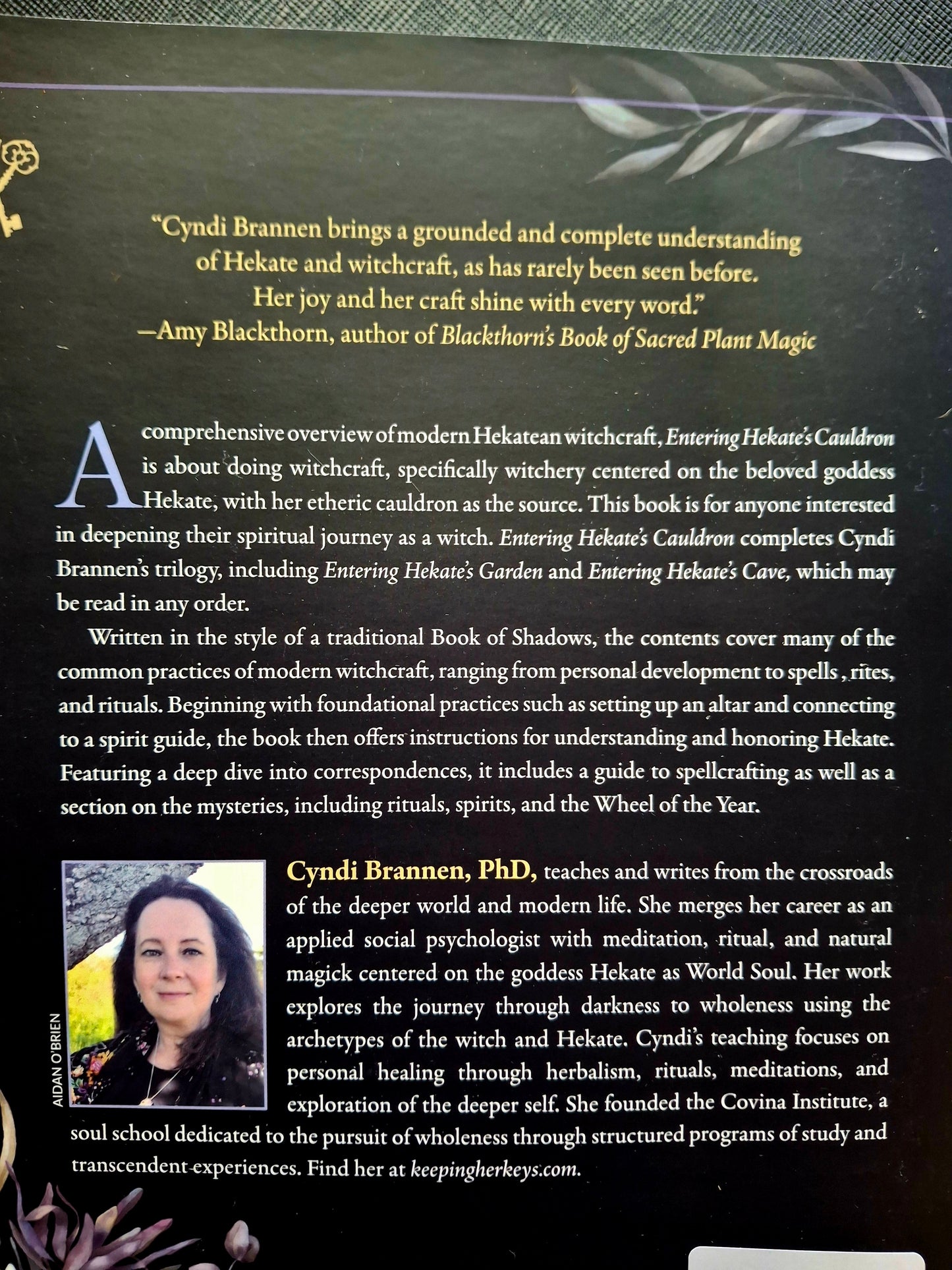 Entering Hekate's Cauldron Spells, Spirits, Rites, and Rituals - Cyndi Brannen