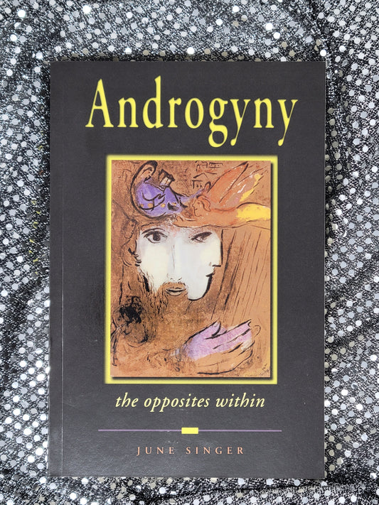 Androgyny The Opposites Within - June Singer