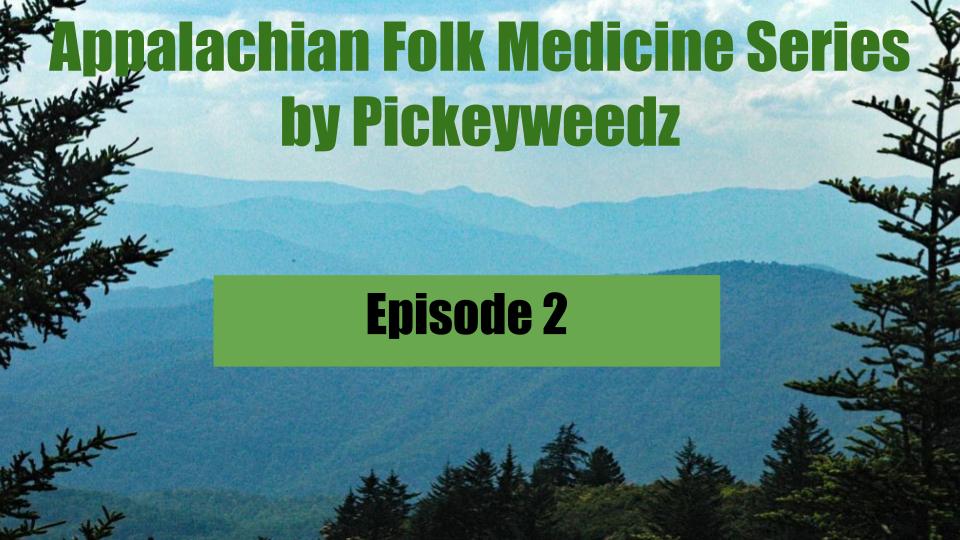 Appalachian Folk Medicine Series - Episode Two (Digital Download)