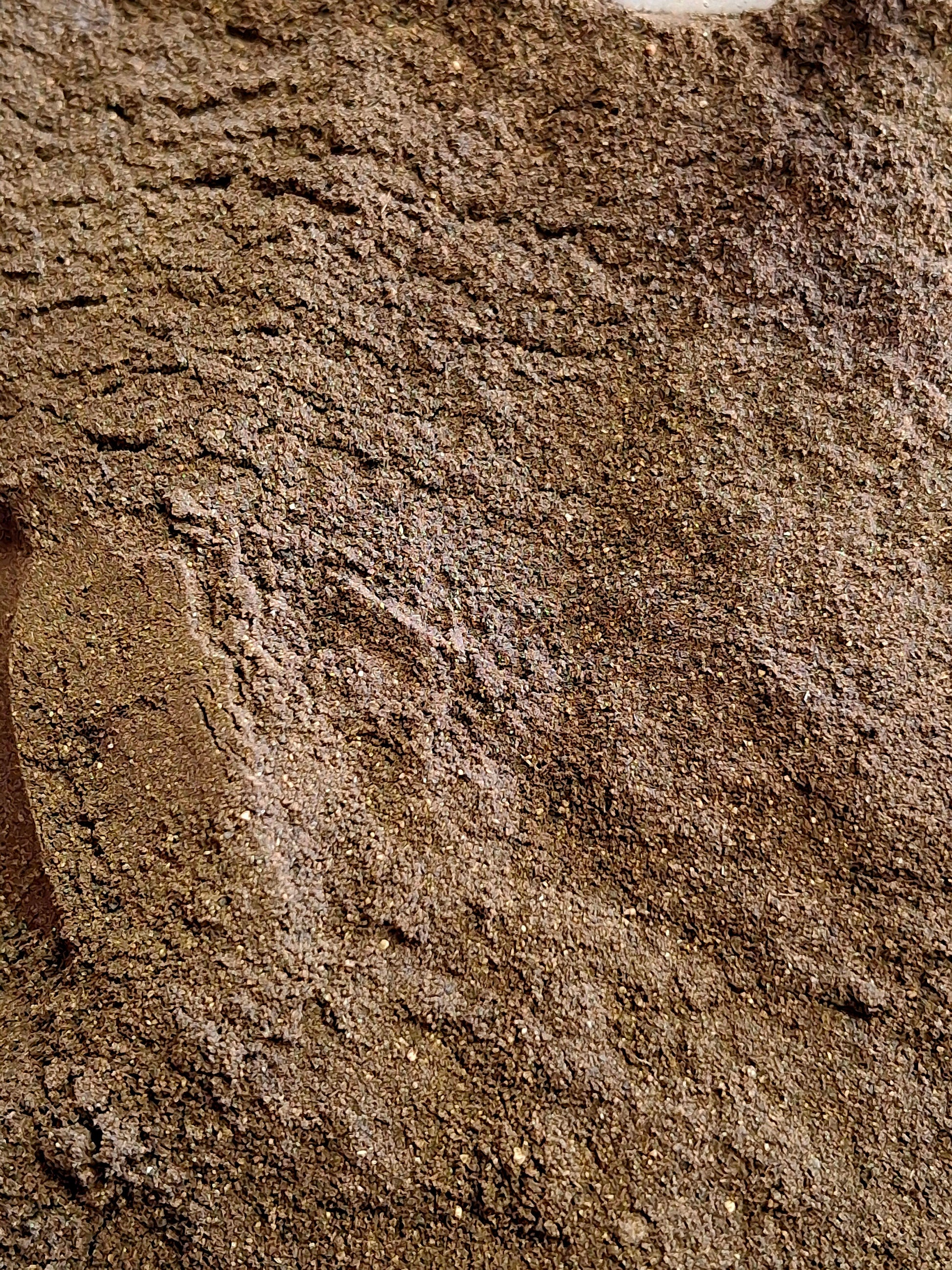 Black Walnut Hull (Juglans nigra)