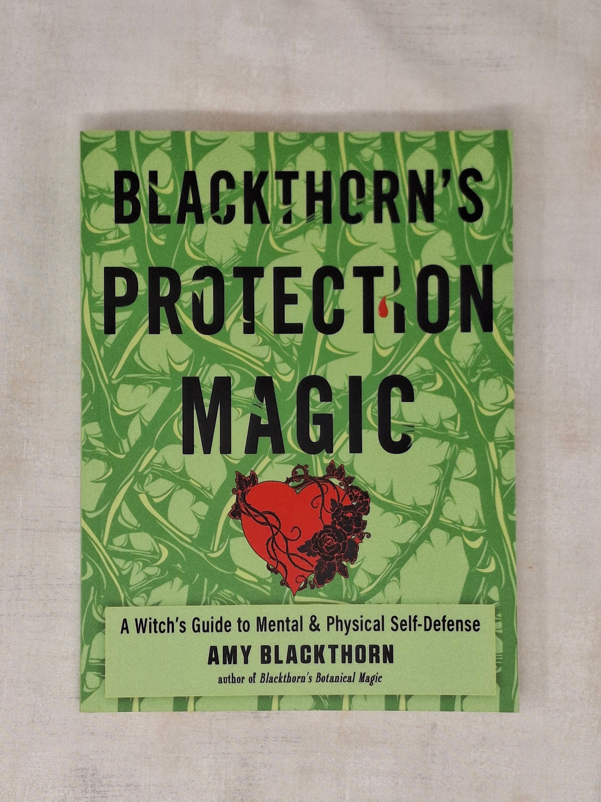 Blackthorn's Protection Magic A Witch’s Guide to Mental and Physical Self-Defense - Amy Blackthorn