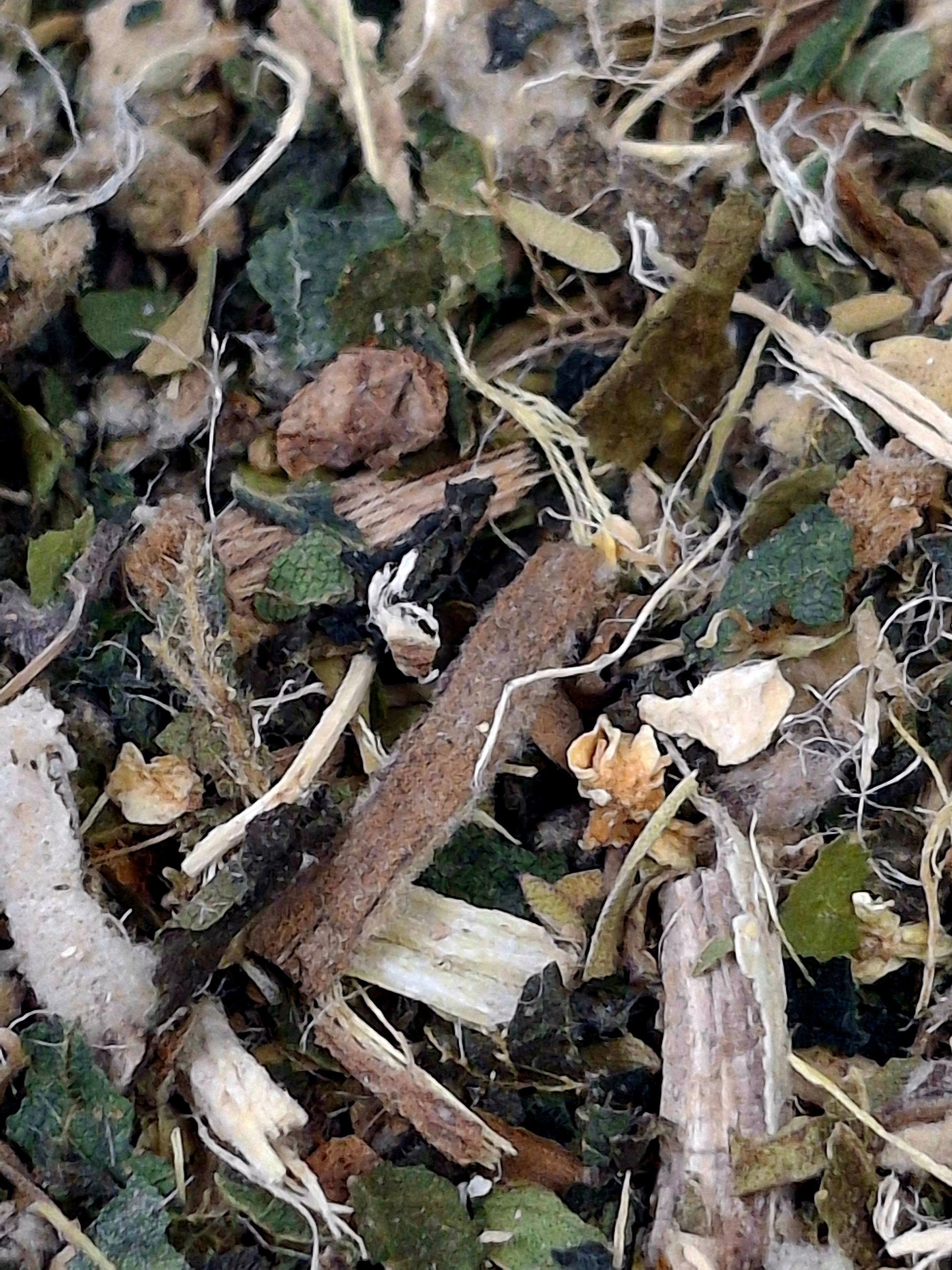 Blasted Allergies!!!