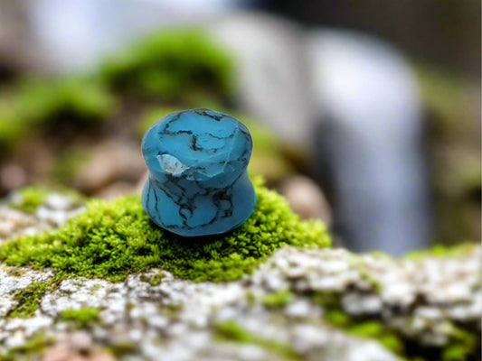 Blue Turquoise Plug 4 GA 5mm