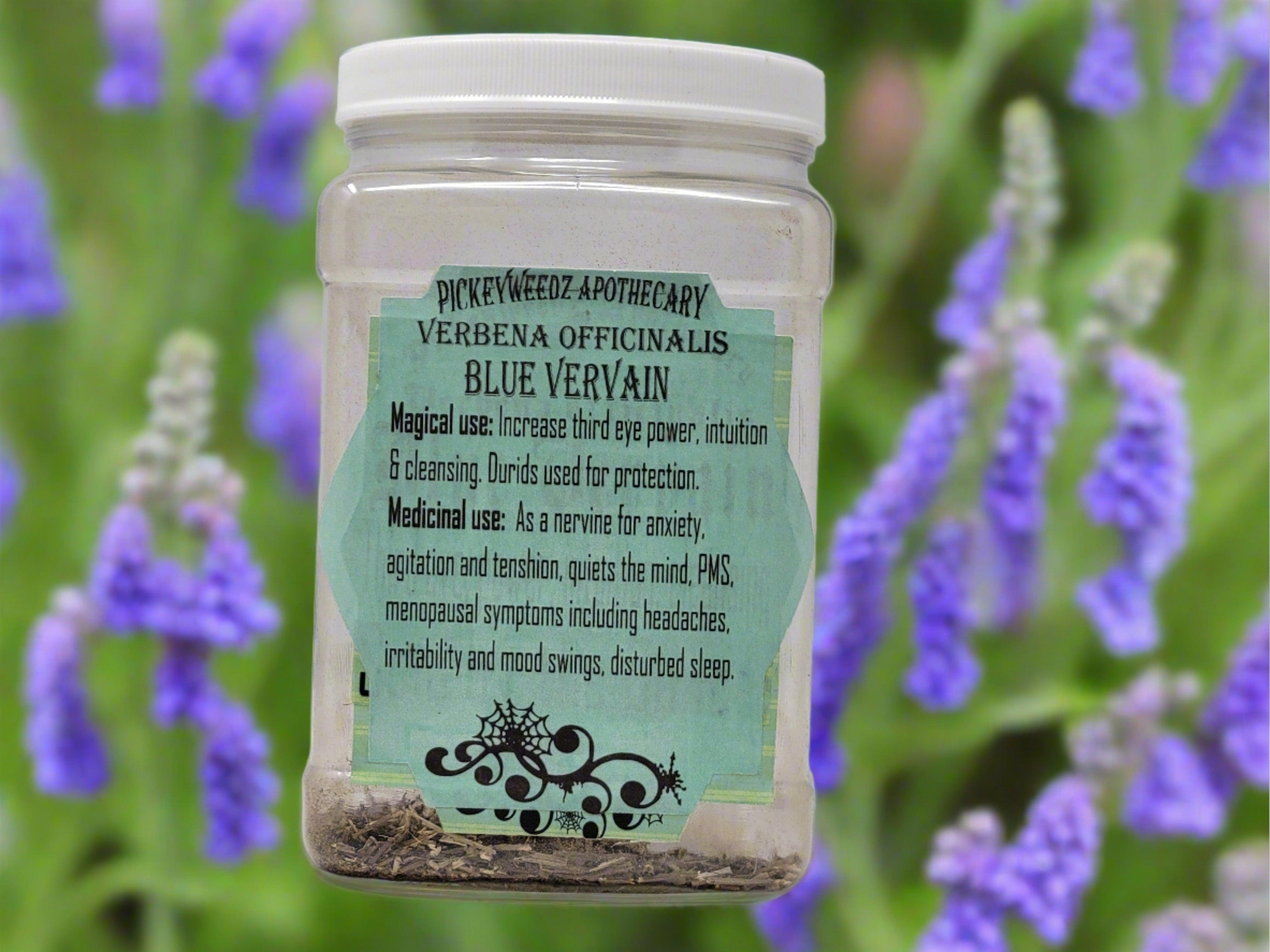 Blue Vervain – Pickeyweedz