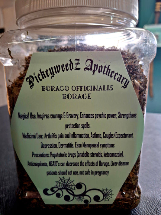 Borage (Borago officinalis)