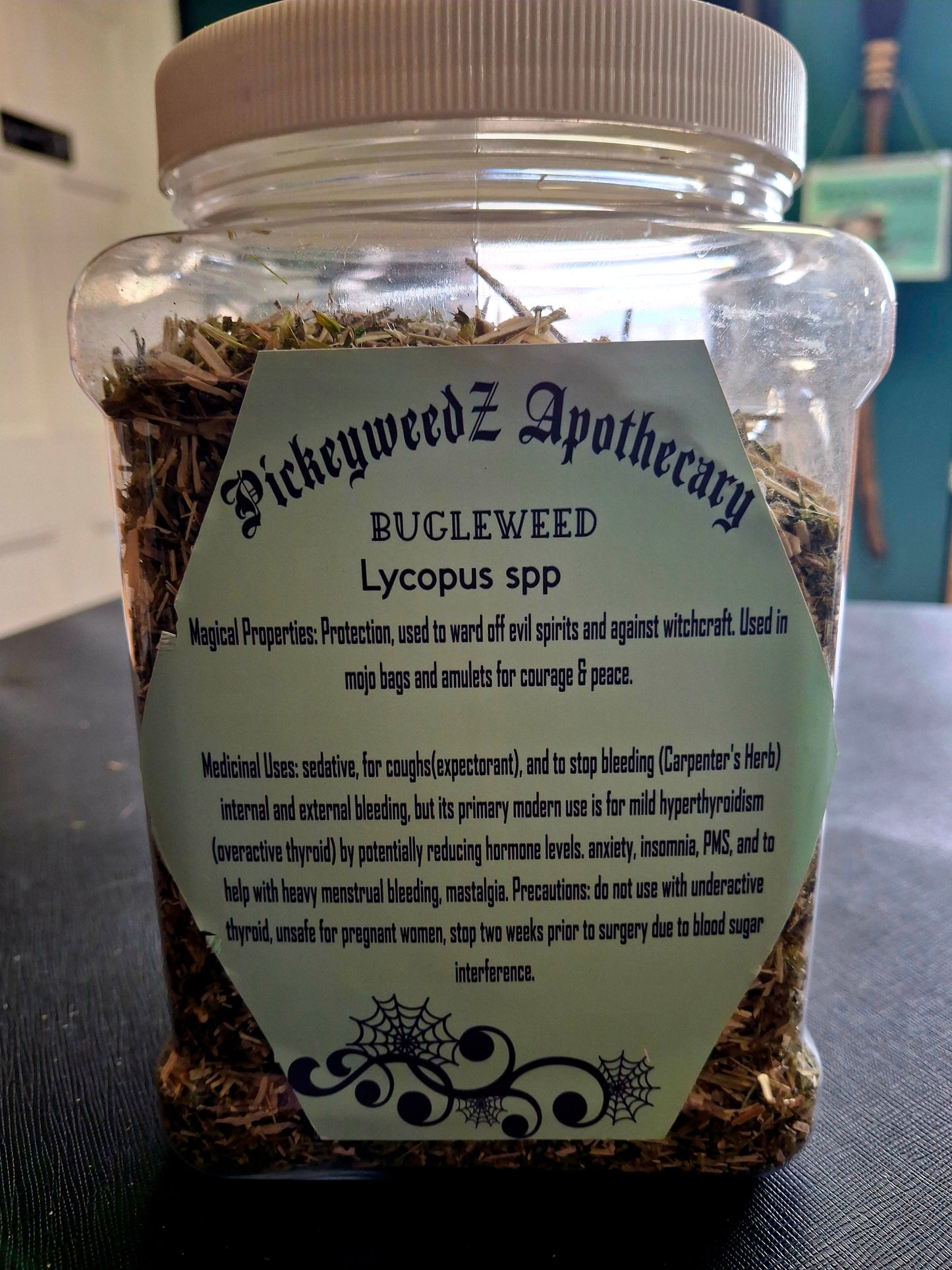 Bugleweed (Lycopus spp)