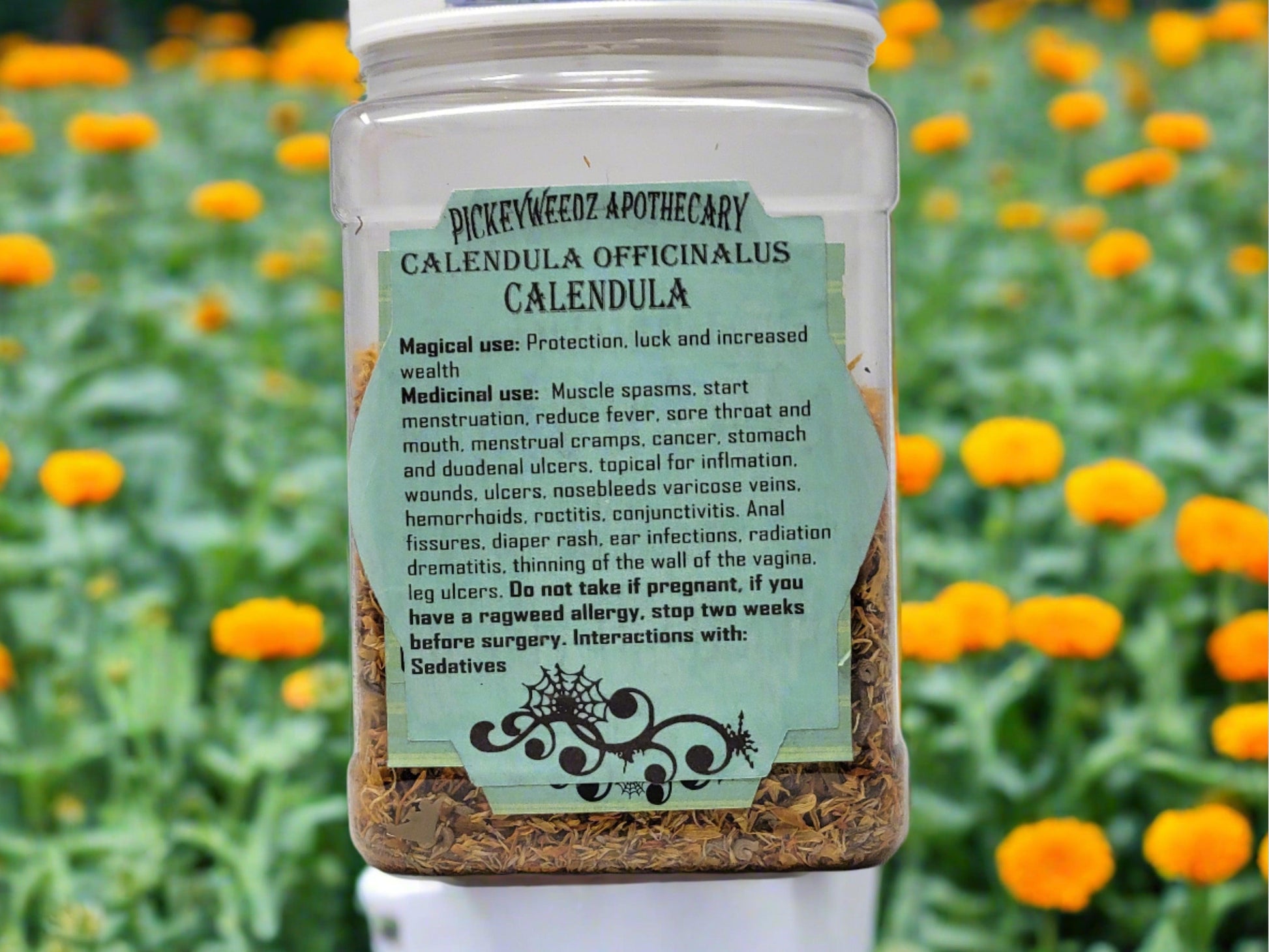 Calendula