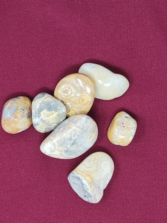 Crazy Lace Agate Tumbled