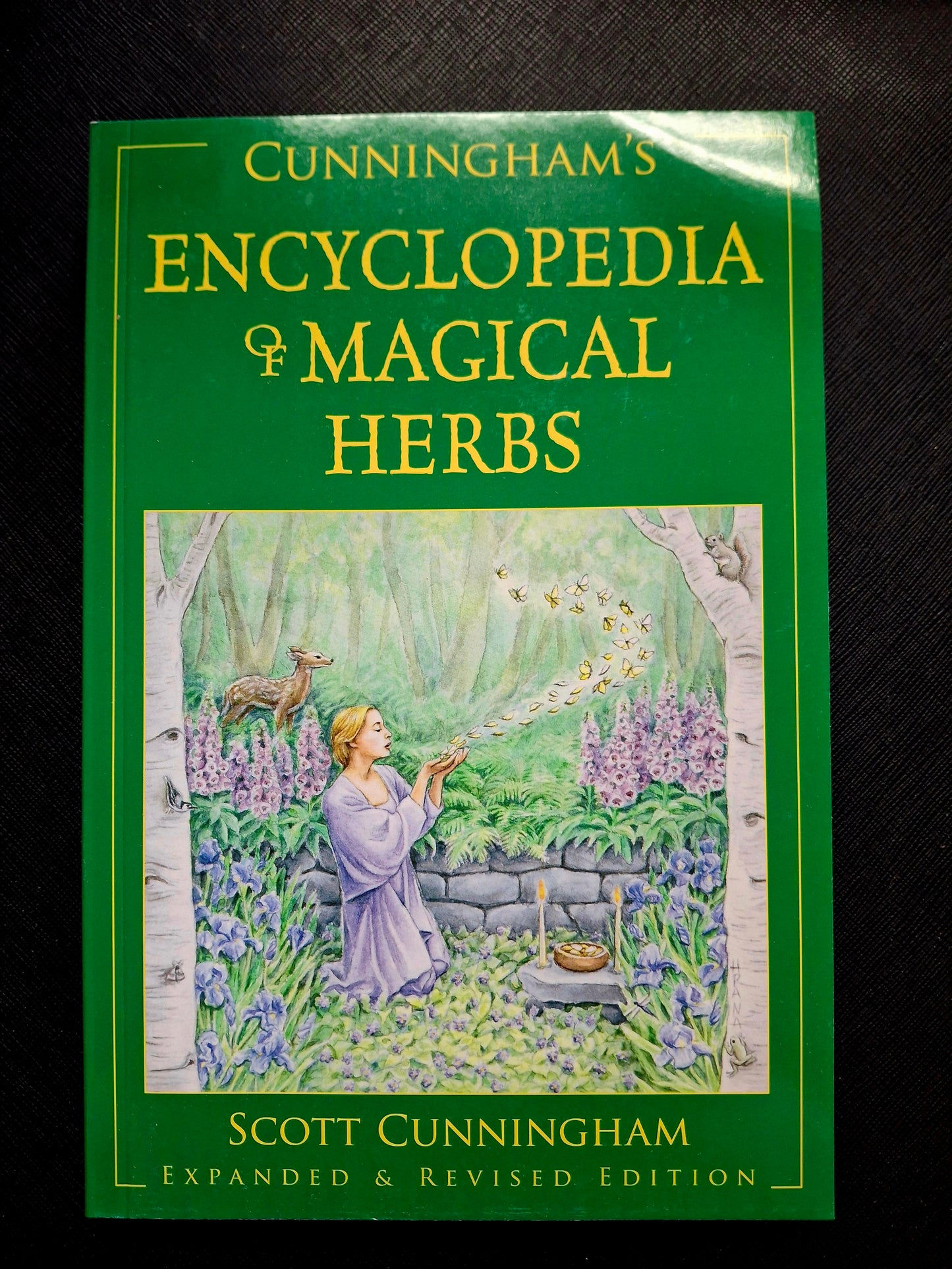 Cunningham's Encyclopedia of Crystal, Gem & Metal Magic by Scott Cunningham