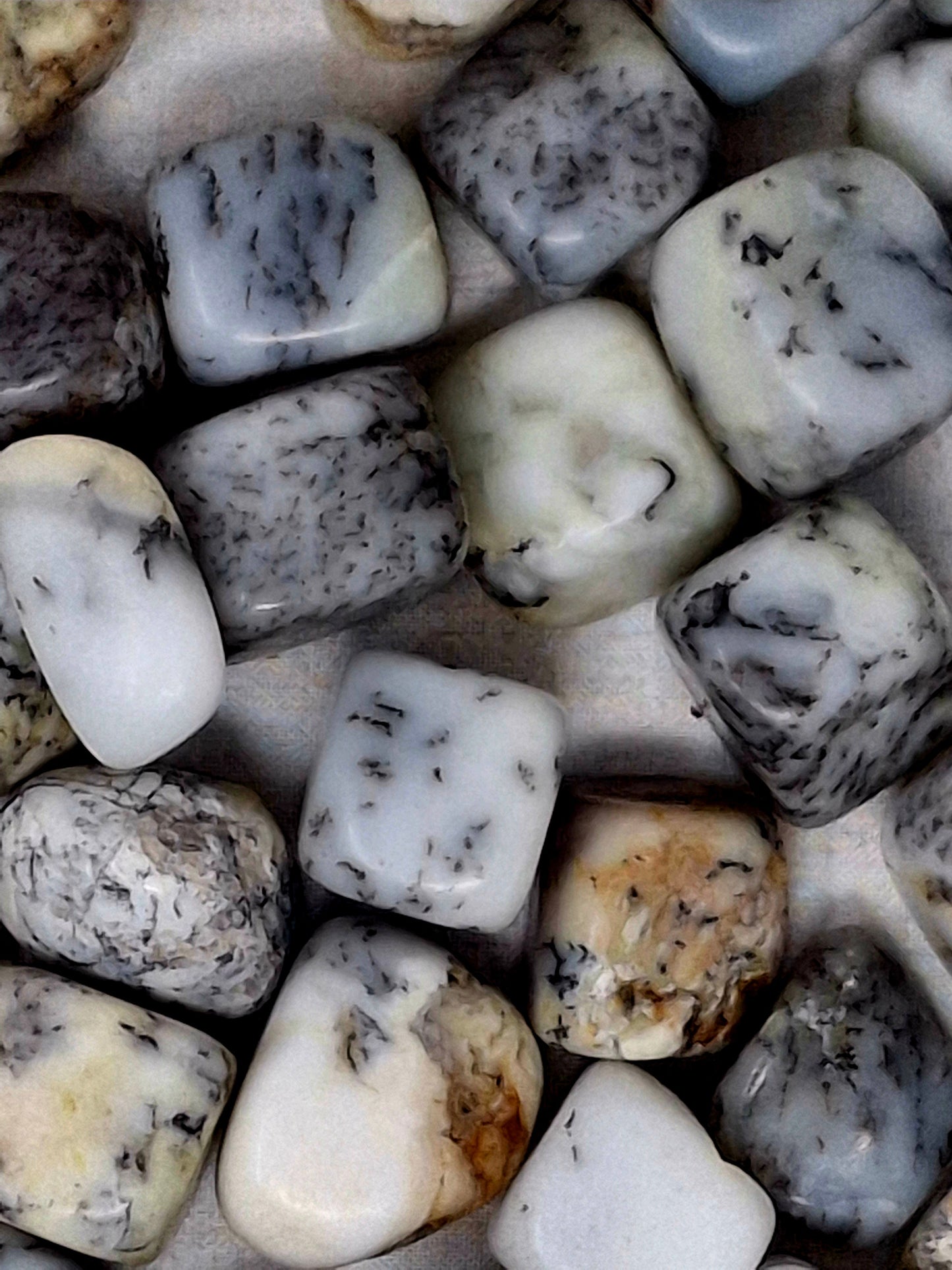 Dendritic Agate Tumbled