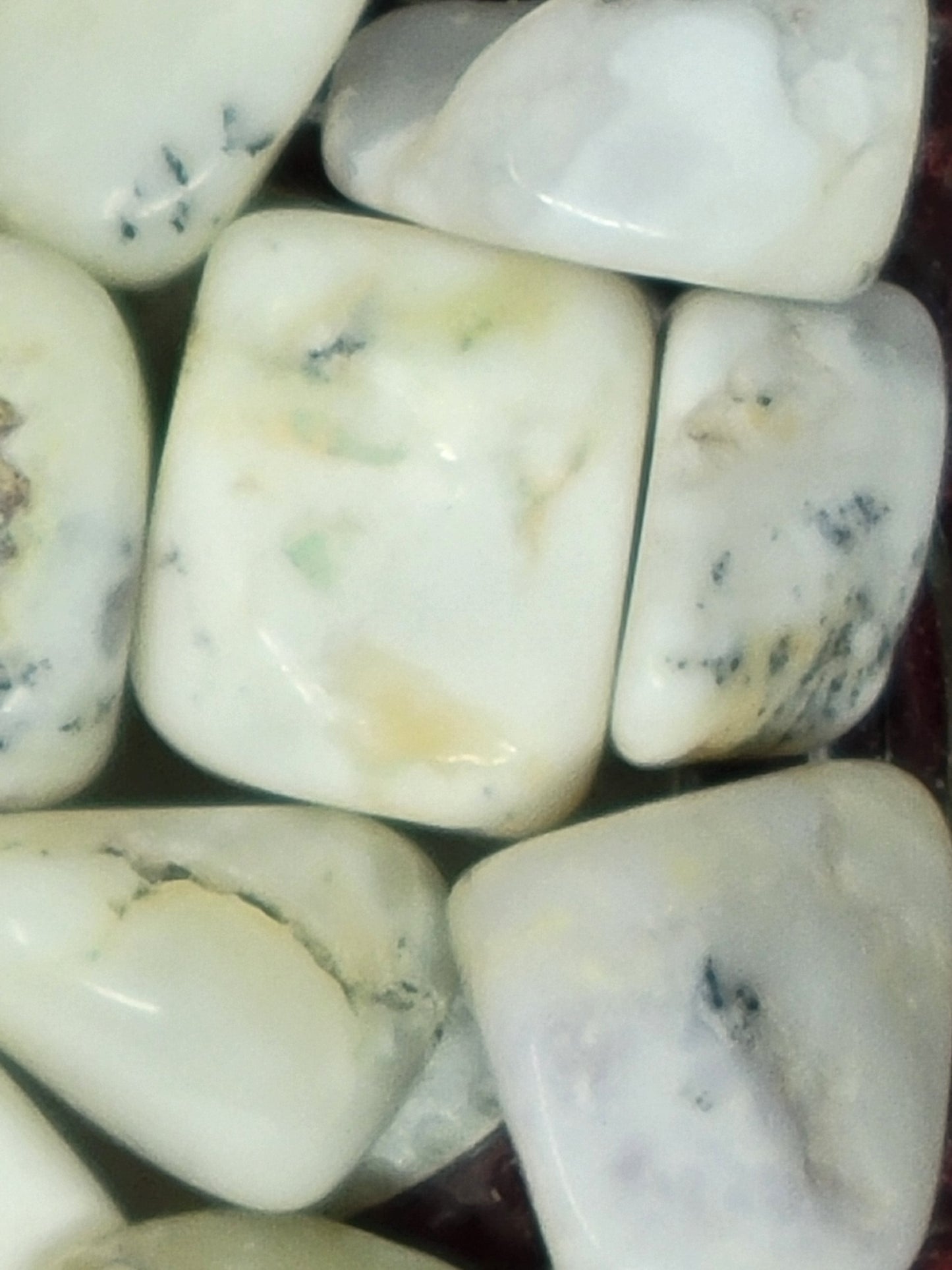 Dendritic Opal (Merlinite) Tumbled