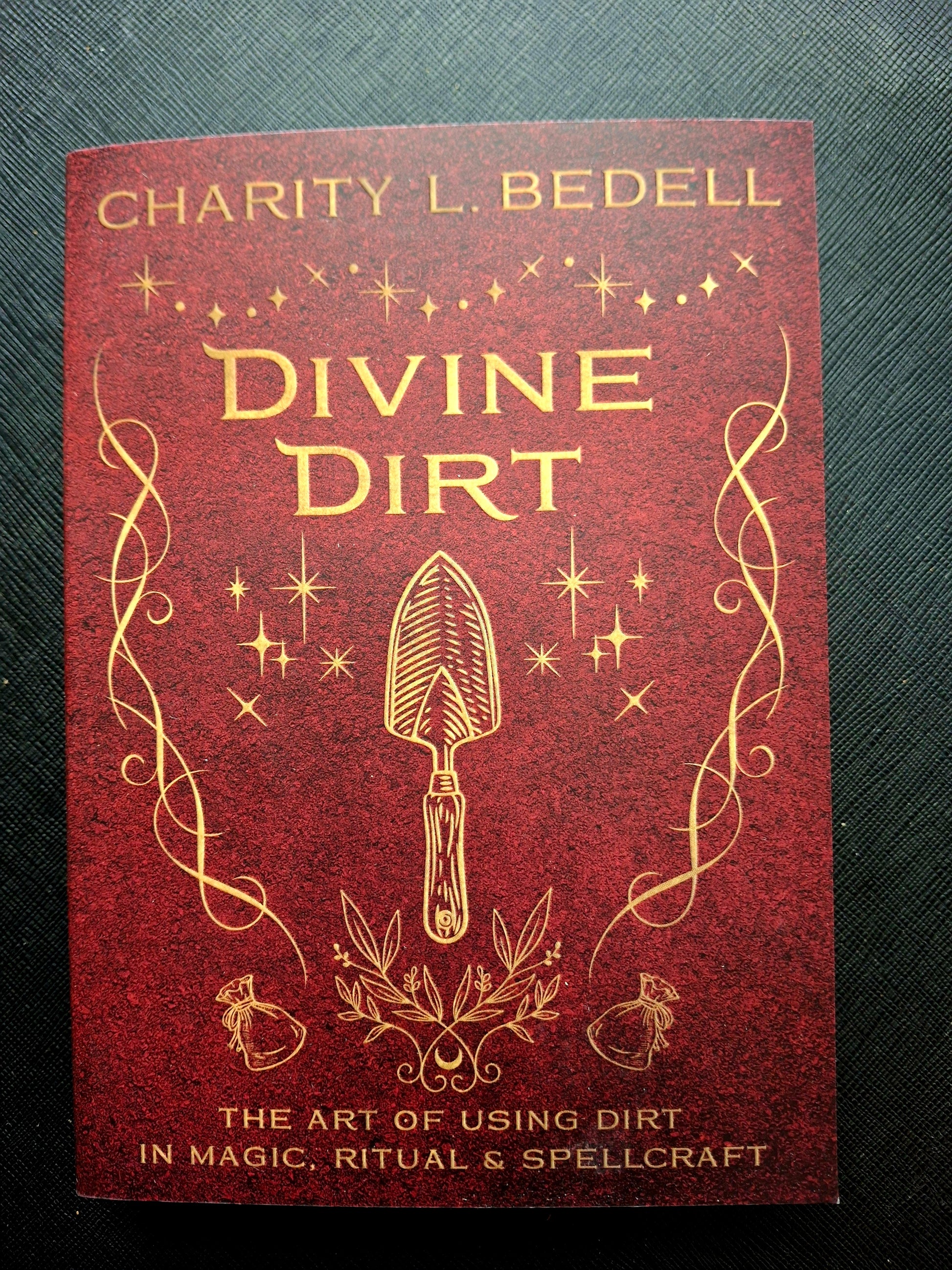 Divine Dirt by Charity L. Bedell