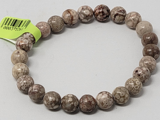 Energy Bead Bracelets Fossilized Coral Agate 8mm