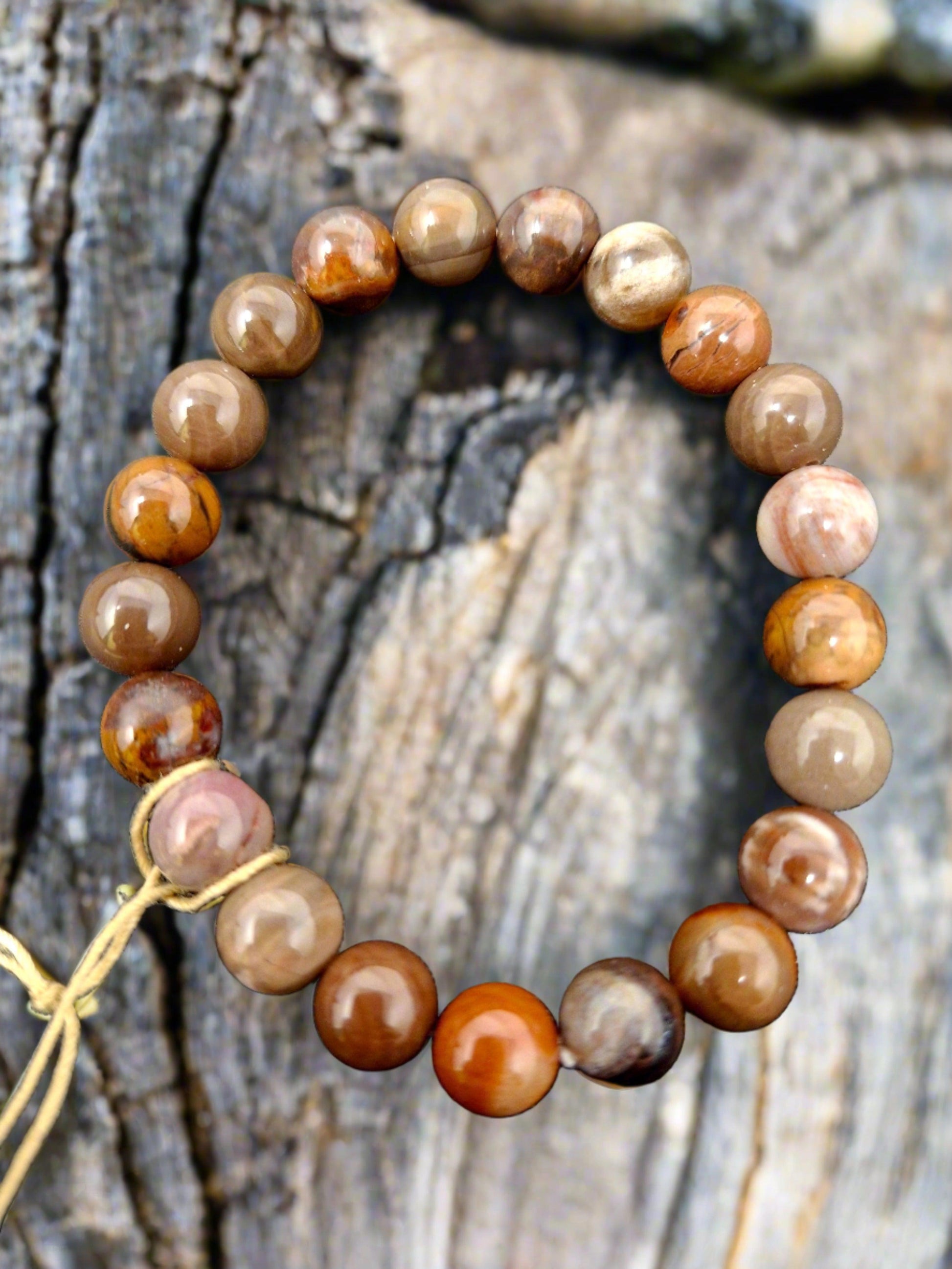 Energy Bead Bracelets Petrified Wood 8mm