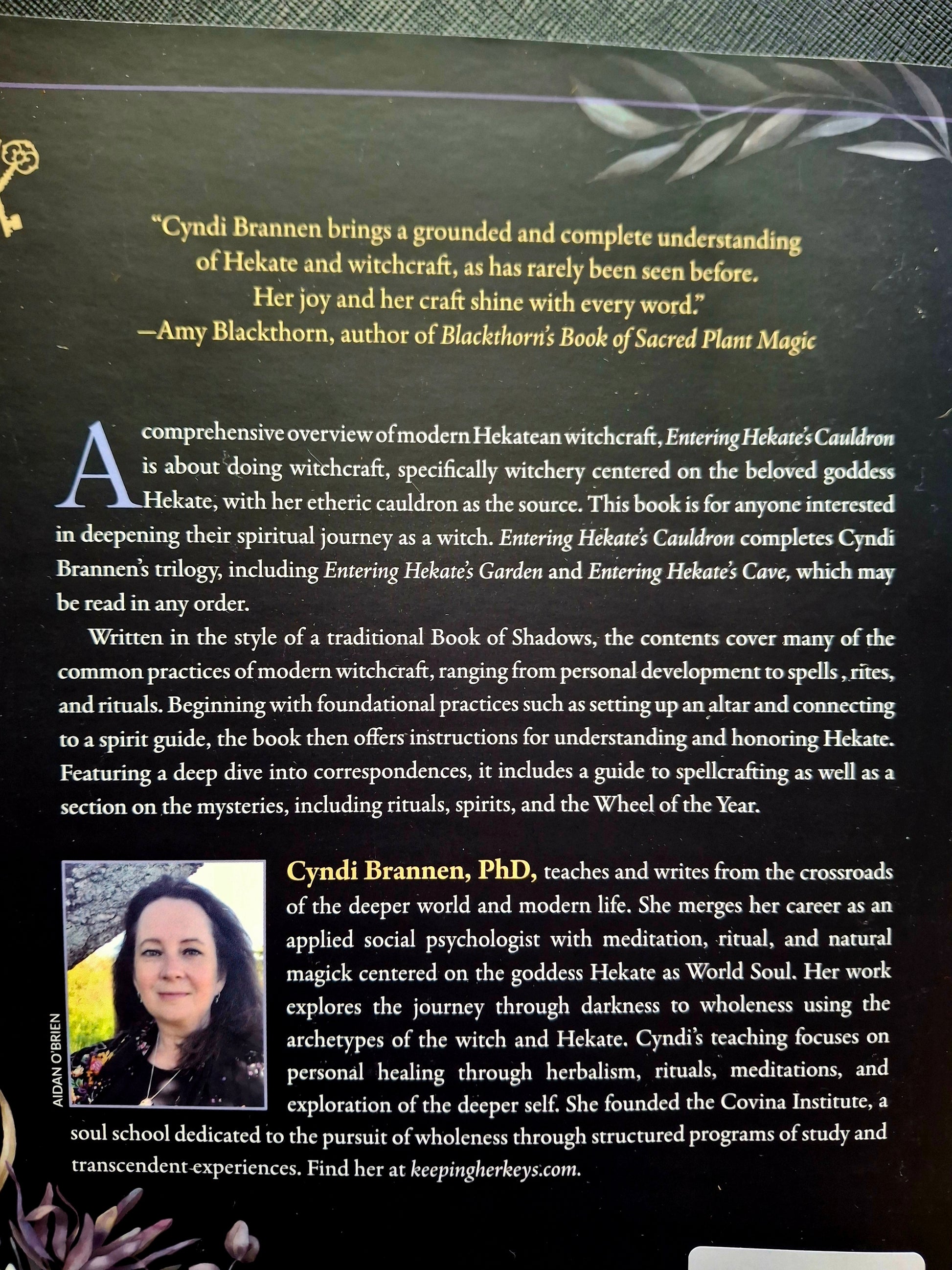 Entering Hekate's Cauldron Spells, Spirits, Rites, and Rituals - Cyndi Brannen