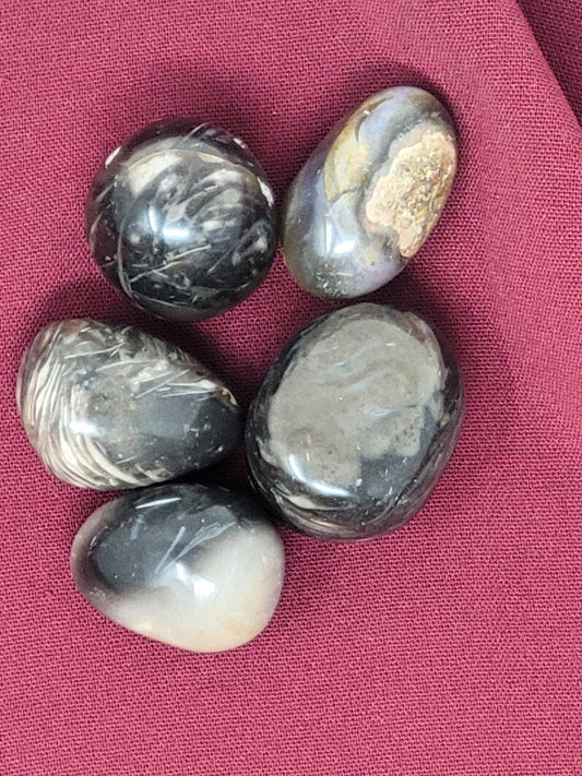 Feather Agate Tumbled