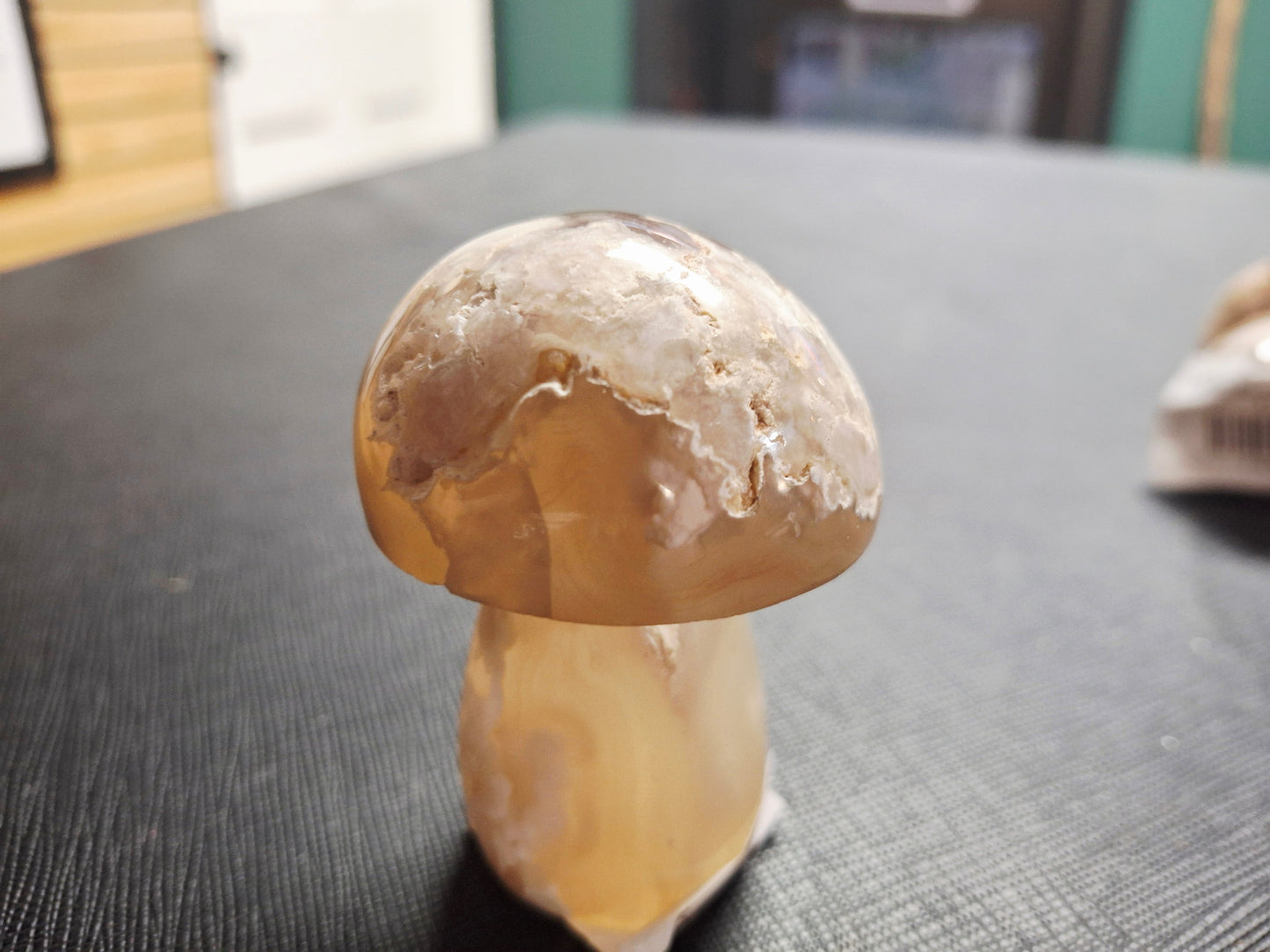 Flower Agate Mushrooms