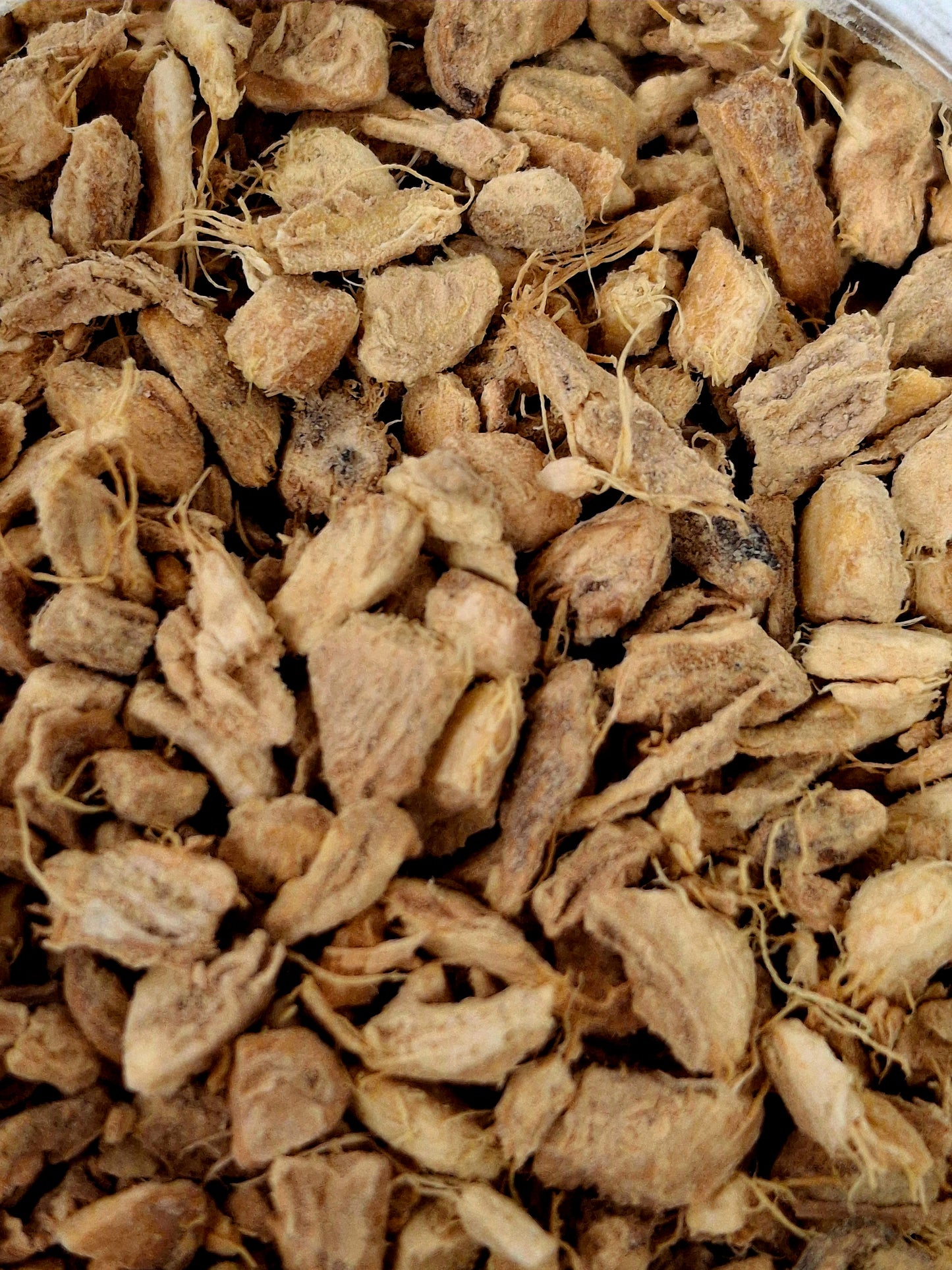 Ginger Root (Zingiber officinale)