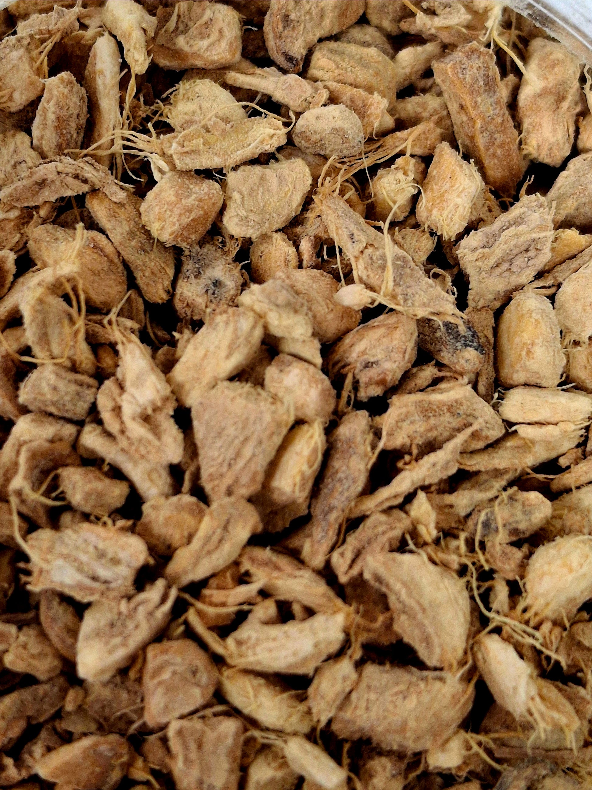 Ginger Root (Zingiber officinale)
