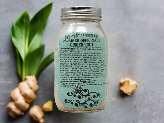 Ginger Root (Zingiber officinale)