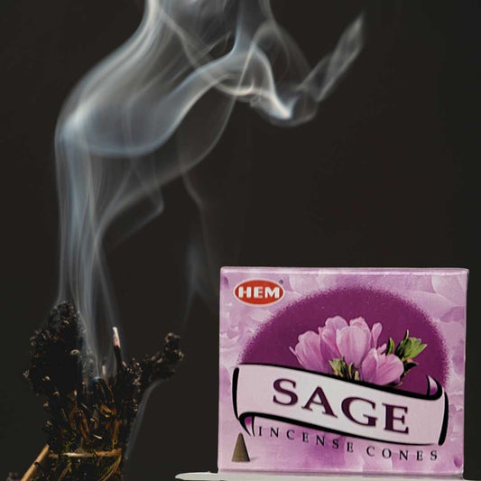 HEM Cone Incense (Sage Salvia)