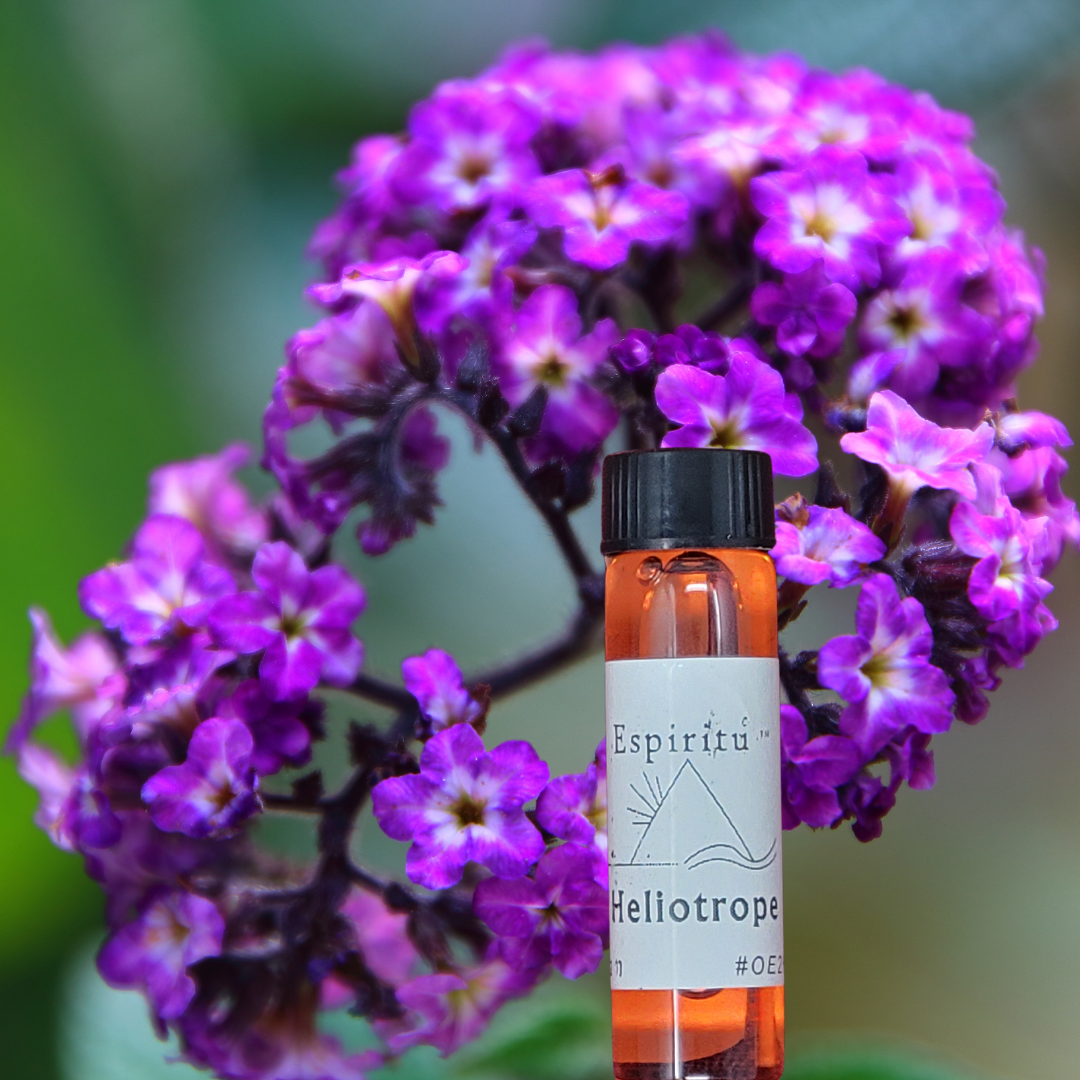 Heliotrope Spell Oil