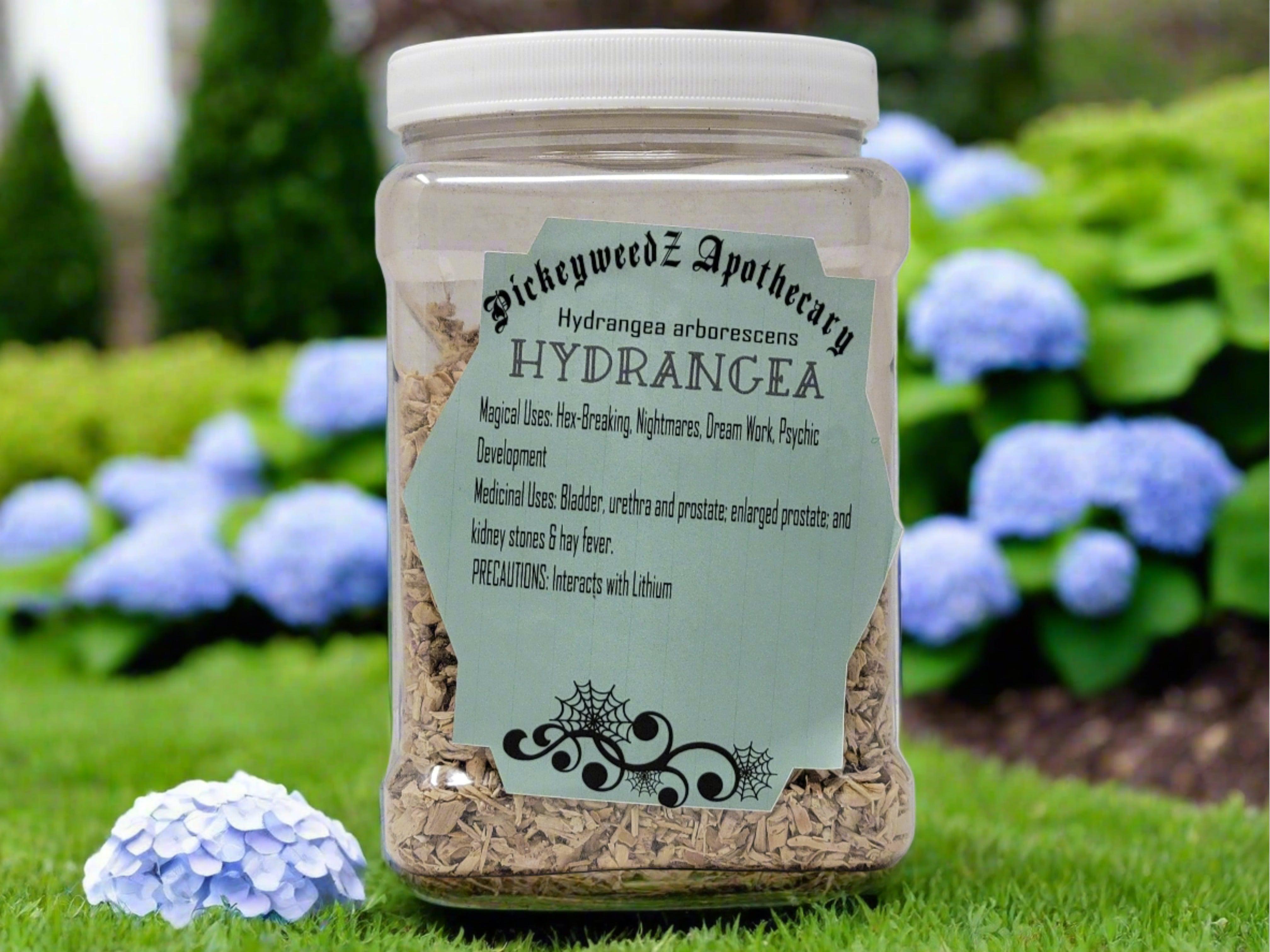 Hydrangea Root External Use Hydrangea Root – Pickeyweedz