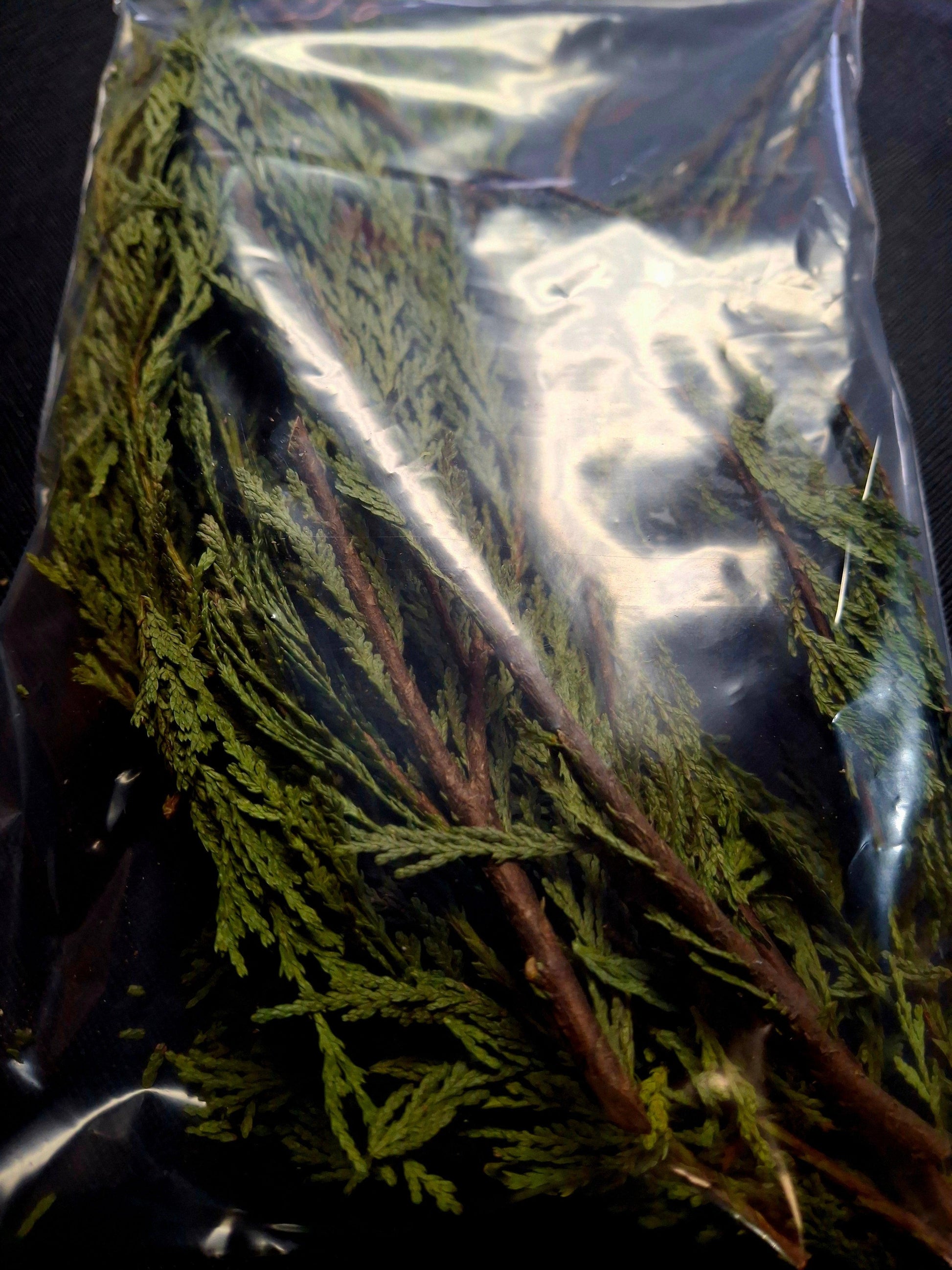 Loose Cedar and Clusters